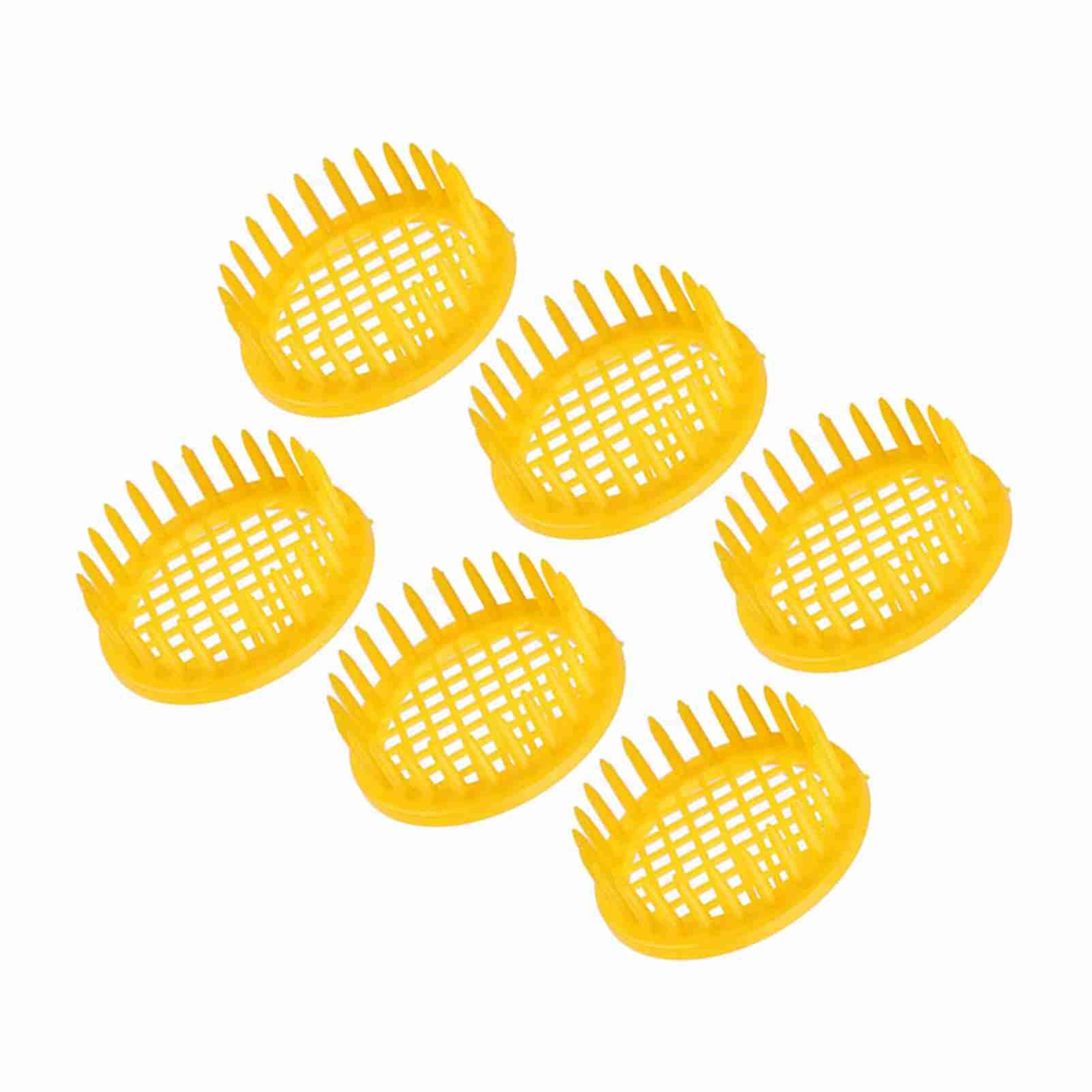 6 Pcs Queen Bee Rearing Box Cell Beekeeping Equipment view 5