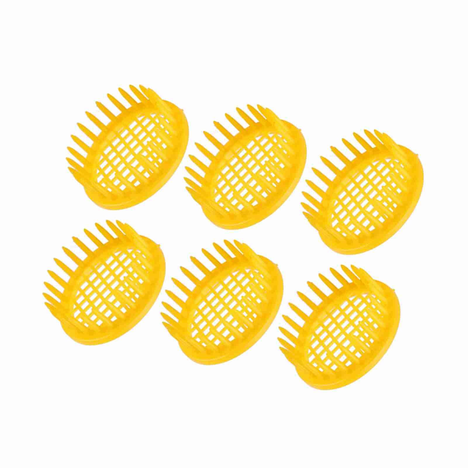 6 Pcs Queen Bee Rearing Box Cell Beekeeping Equipment view 6