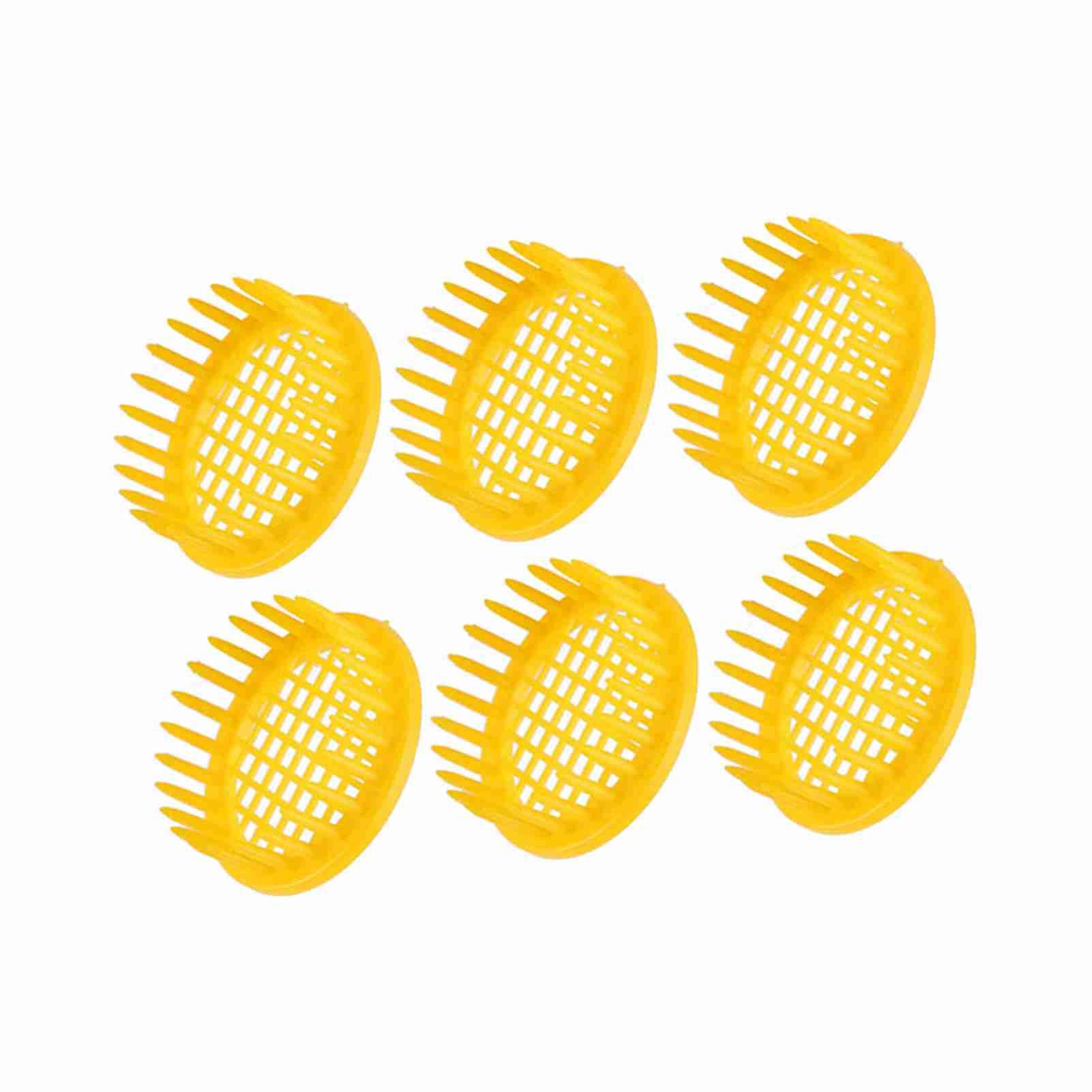 6 Pcs Queen Bee Rearing Box Cell Beekeeping Equipment view 7