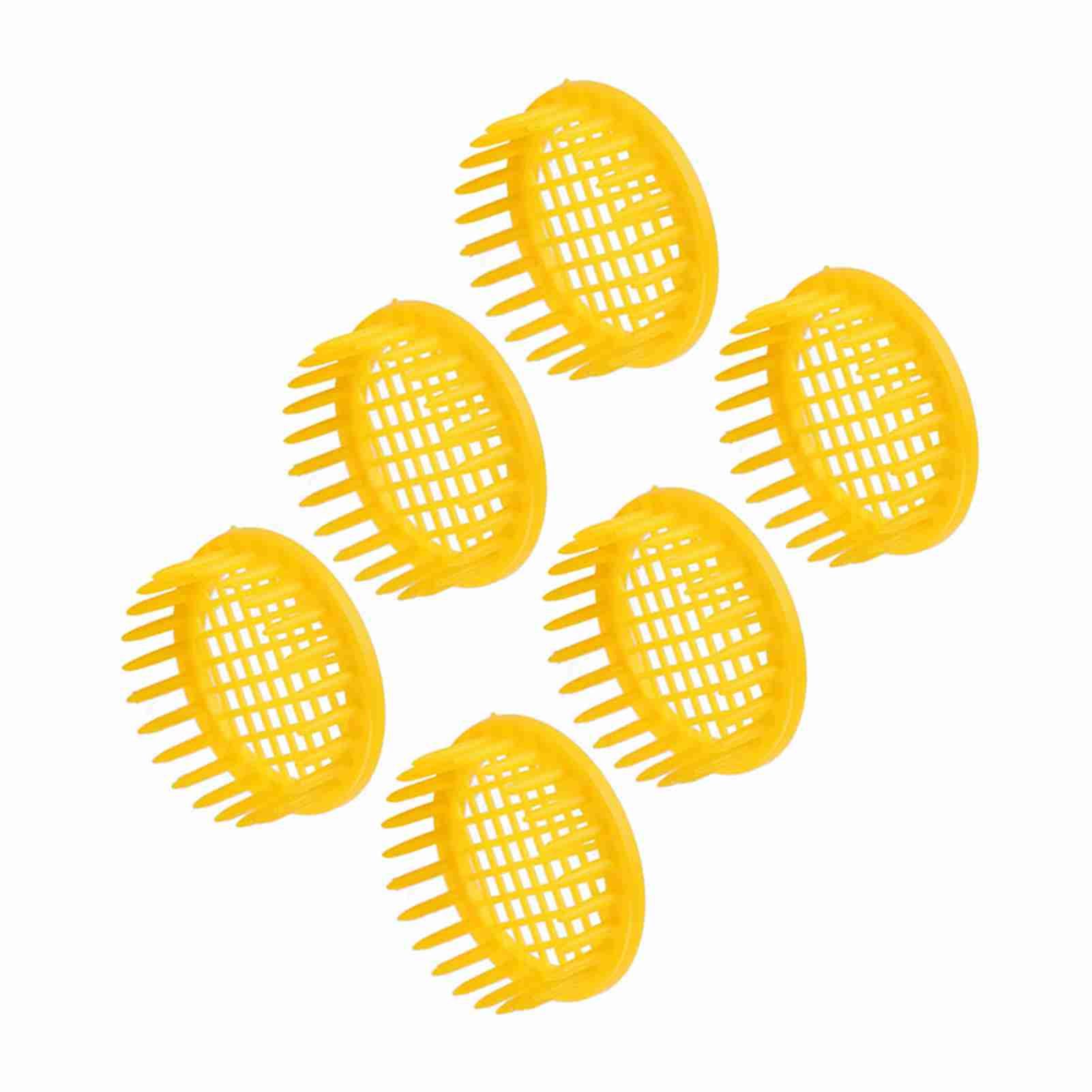 6 Pcs Queen Bee Rearing Box Cell Beekeeping Equipment view 10