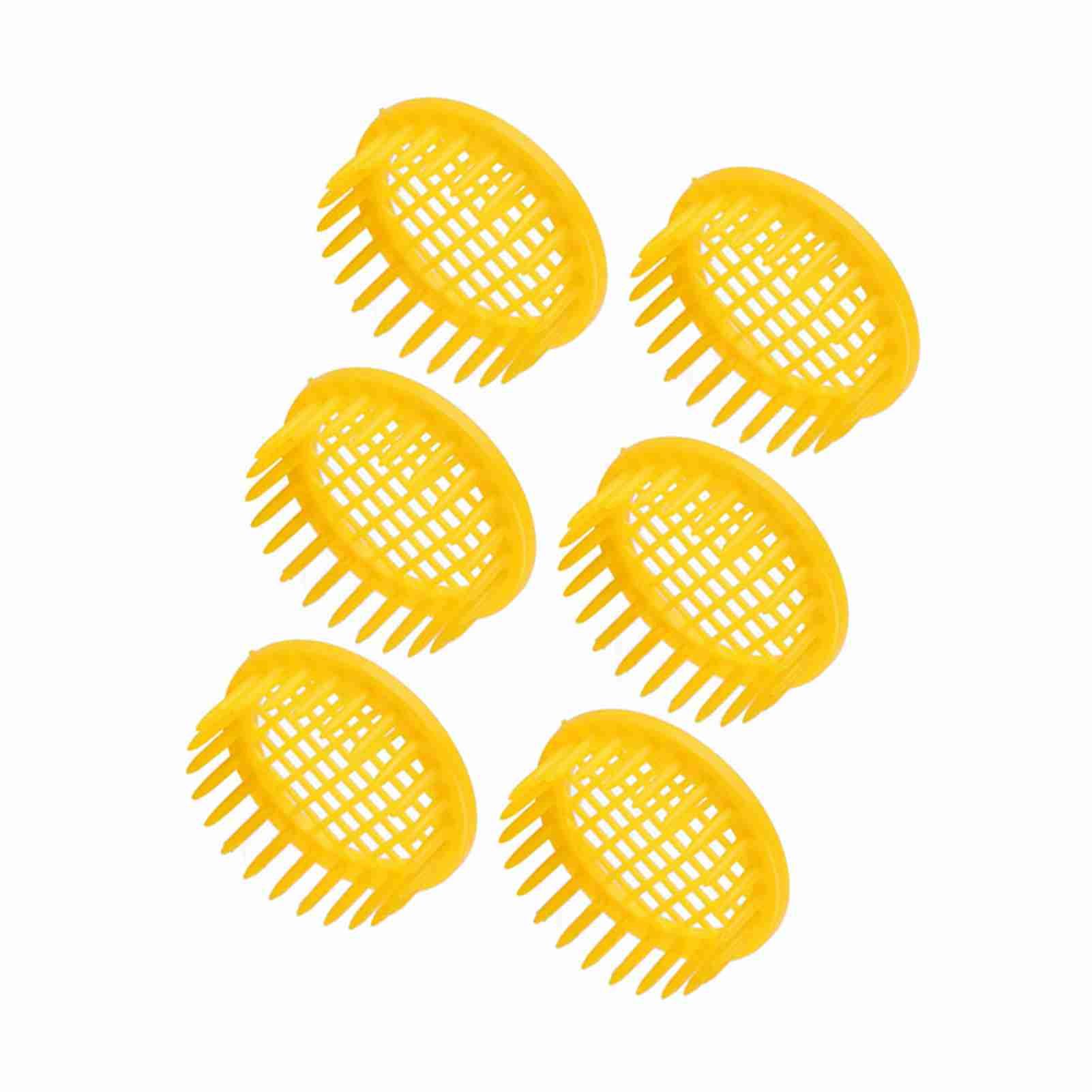 6 Pcs Queen Bee Rearing Box Cell Beekeeping Equipment view 11