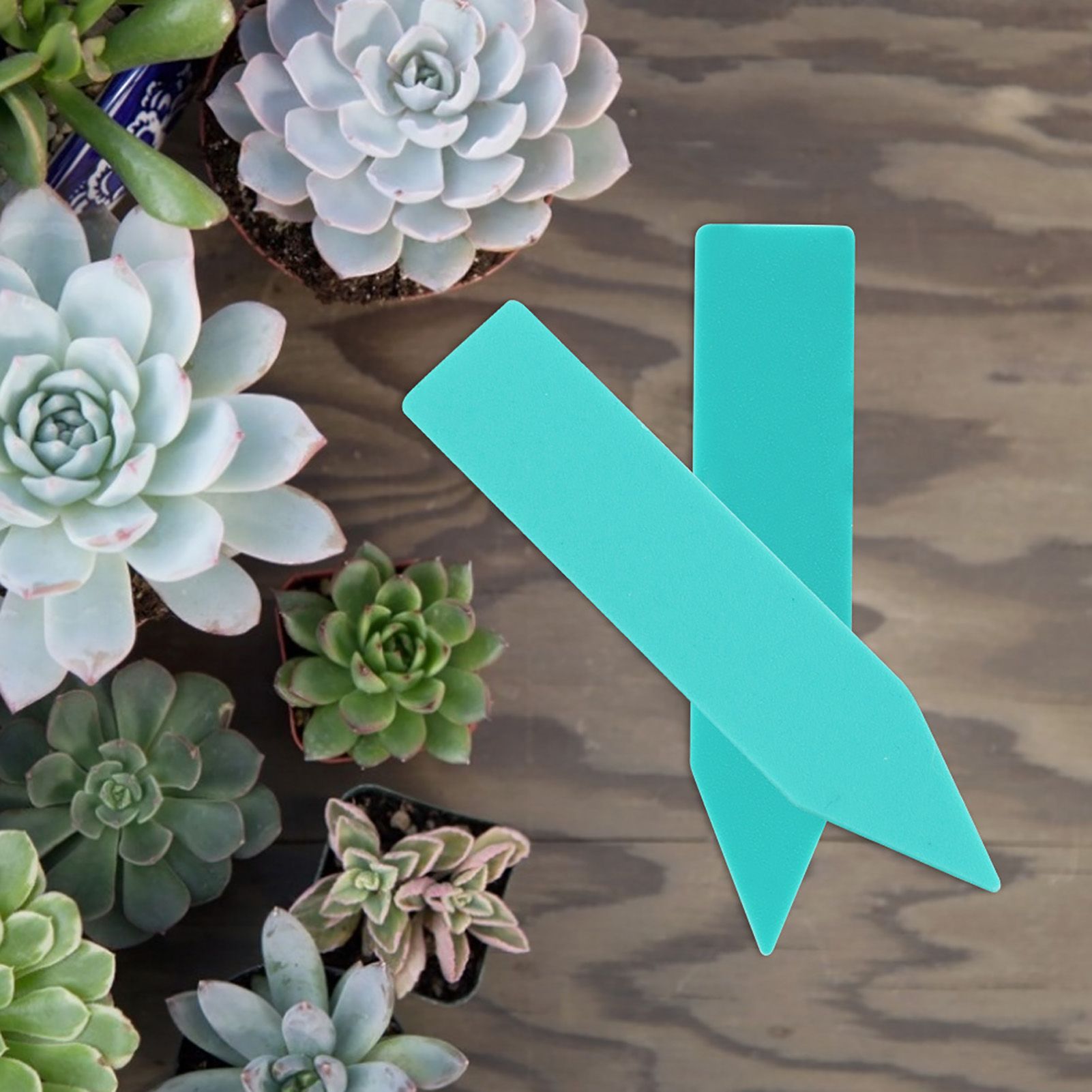 100 pcs Plastic Flower Plant Seed Name Stake Tag Label Marker view 3