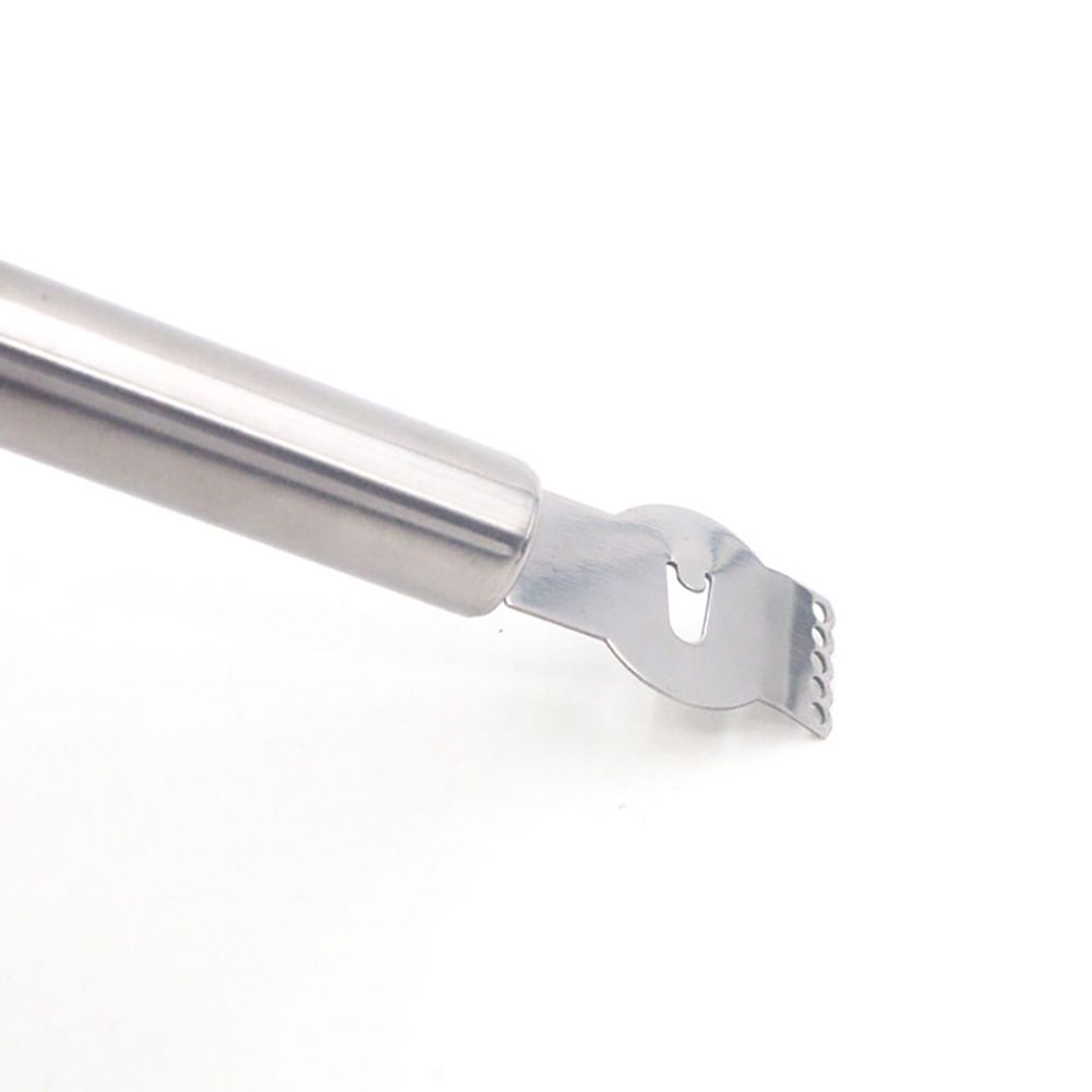 Fruit Vegetable Scratcher Stainless Steel Grater Cooking Device view 3