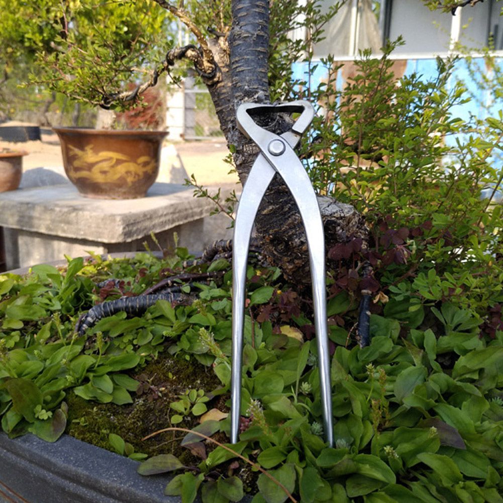 210mm Stainless Steel Garden Branch Cutter Long Handle Scissor Bonsai Tool view 4