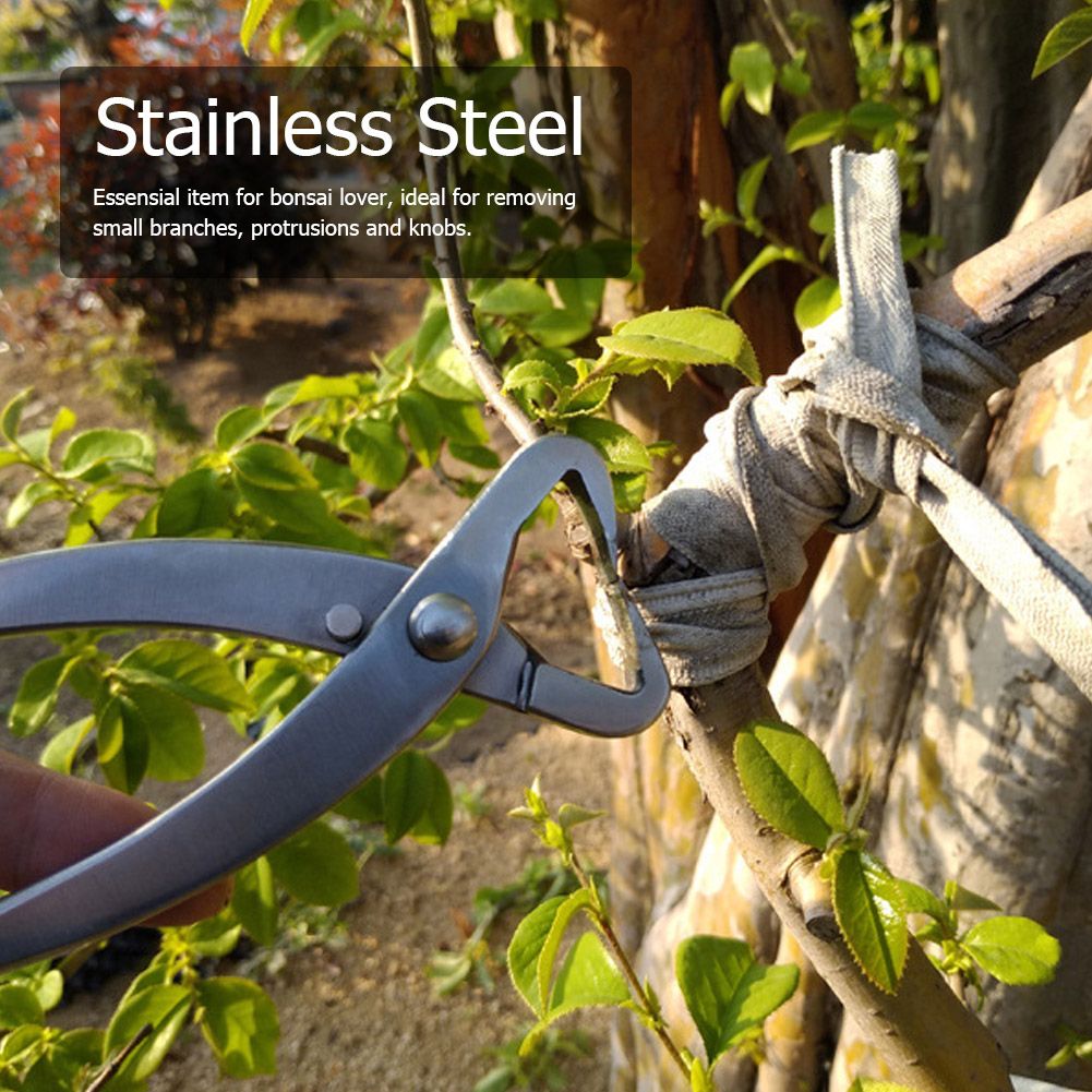 210mm Stainless Steel Garden Branch Cutter Long Handle Scissor Bonsai Tool view 8
