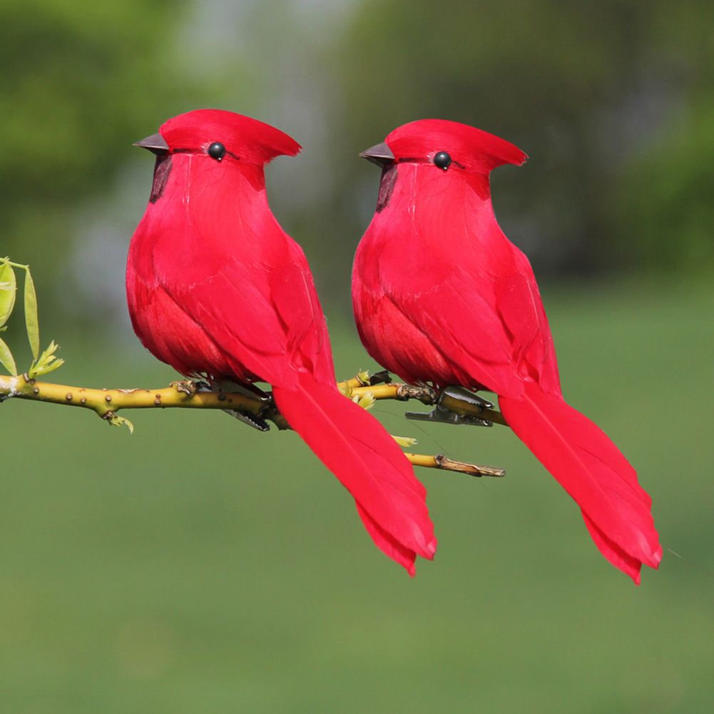 10Pcs Red Foam Handmade Artificial Simulated Bird Yard Lawn Garden Outdoor view 6