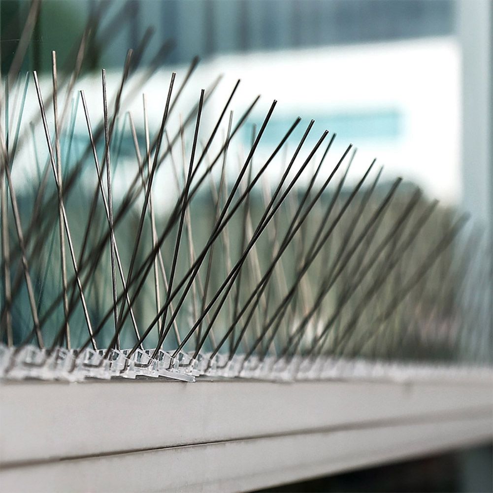 10Pcs 30cm Stainless Steel Anti Bird Spike Outdoor Bird Repellent Bird Spikes Tool view 5