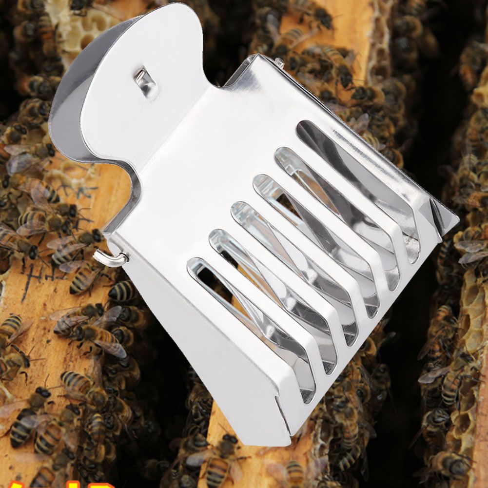 Stainless Steel Queen Bee Catcher Clip Queen Cage Clip Bee Catching Tool for view 3