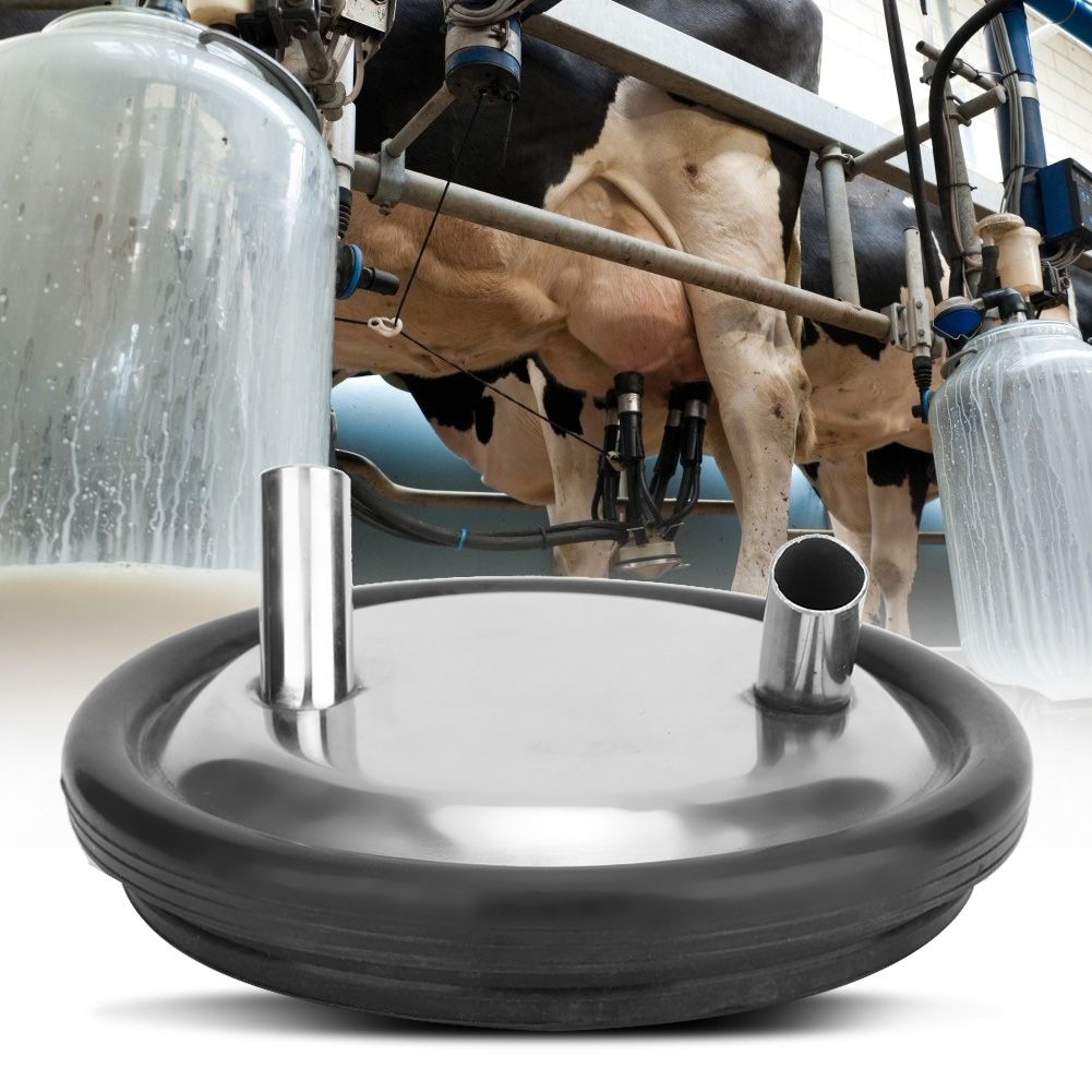 Stainless Steel Milk Bucket Lid And Gasket For Milking Machine Two Open Lid
