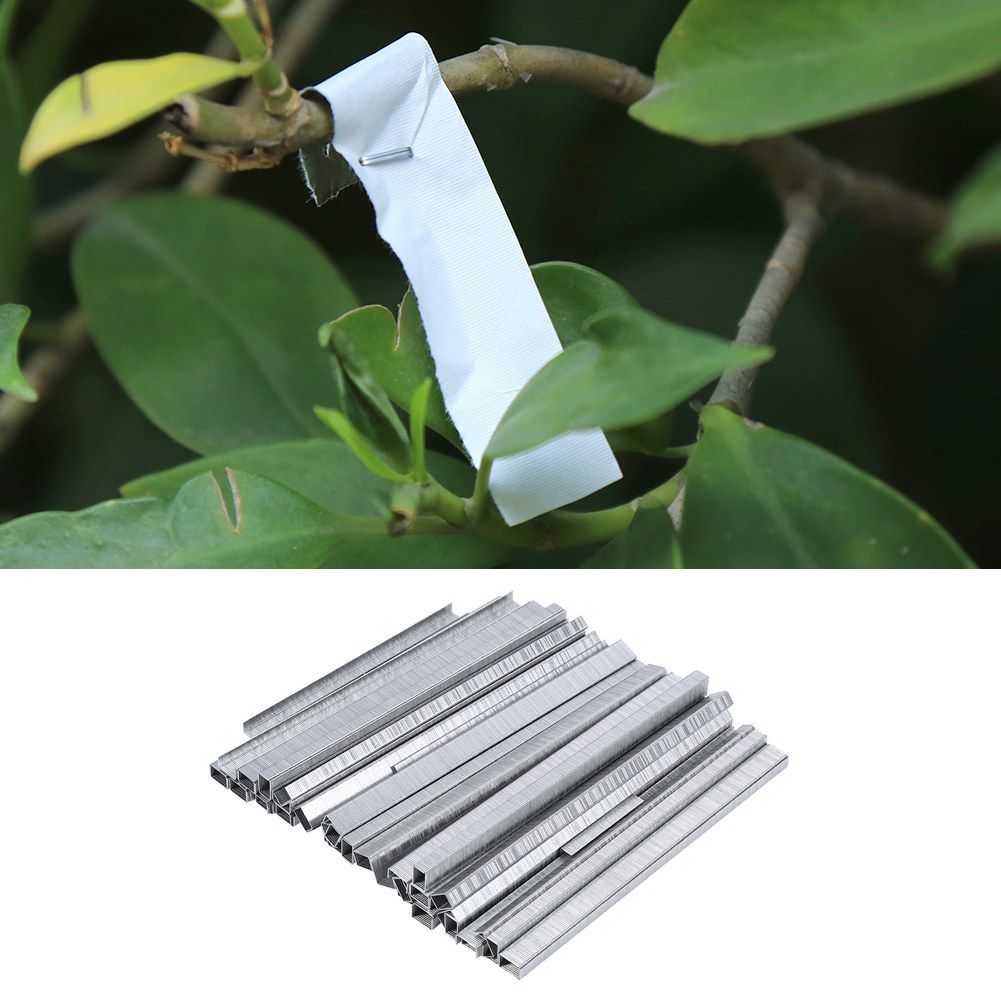 Garden Trellis Staple Tool Use For Vines Tying Machine Dedicated Pin 10000 view 11