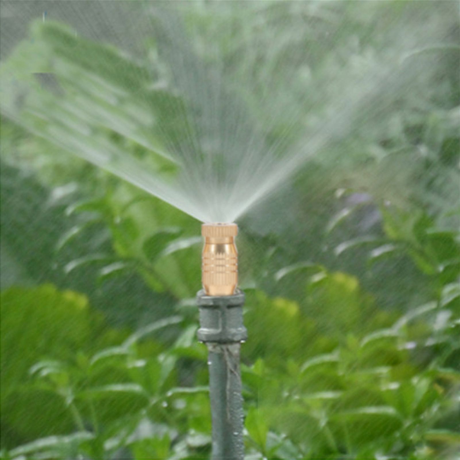 10Pcs Threaded Brass Fog Mist Nozzles Misting Fogging Spray Sprinkler Head view 8