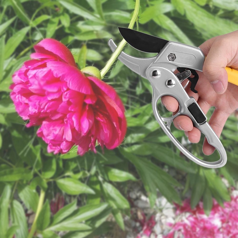 High Carbon Steel Pruning Shears Cutter Gardening Plant Scissor Branch Pruner — image 1
