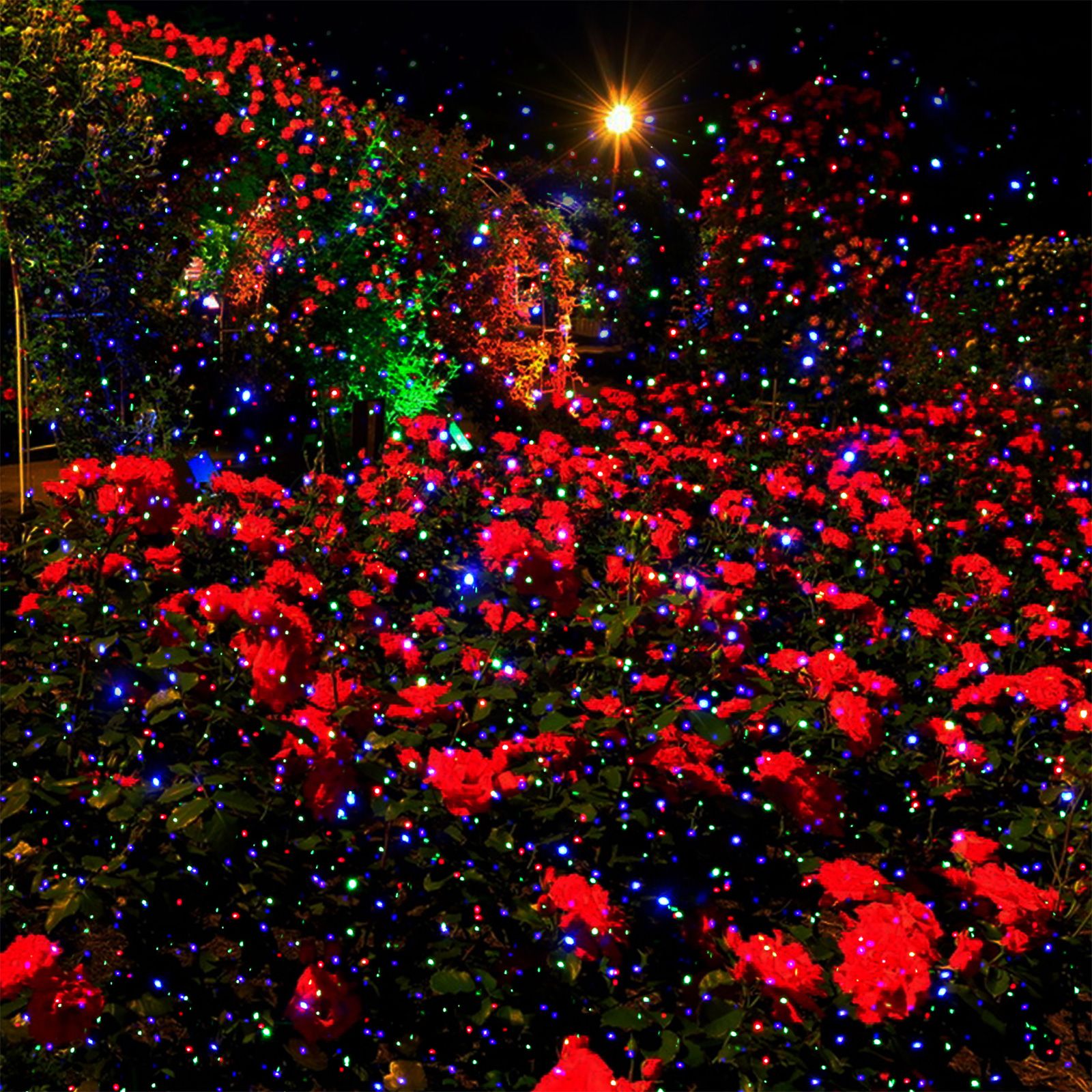 Outdoor Garden Christmas Light Projector 3 Light Colors Red Green Blue Remote view 7