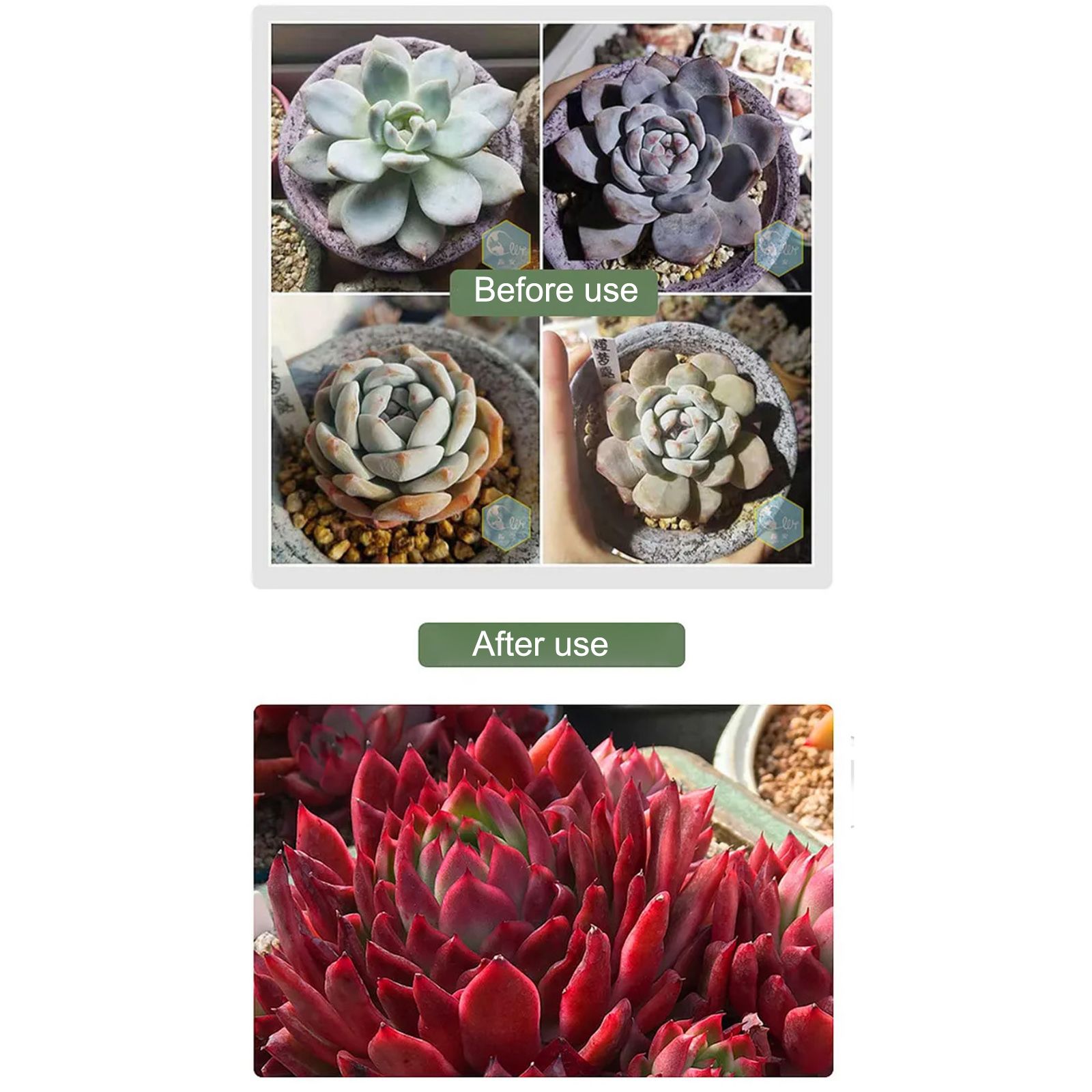 E27 Screw LED Plant Grow Light Plant Light Full Spectrum Greenhouse Nursery view 8