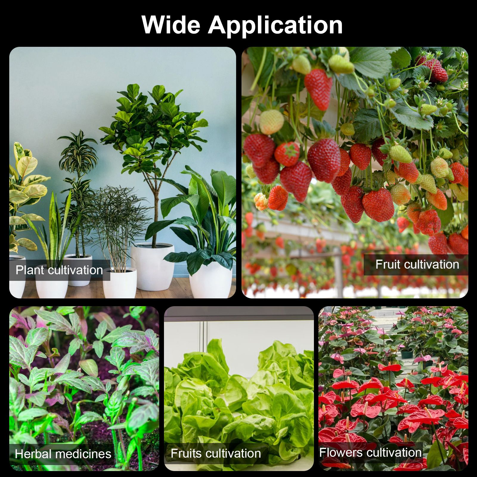 Full Spectrum Growth Light LED Indoor Plant Supplement Light 3000K 5000K IR UV view 5