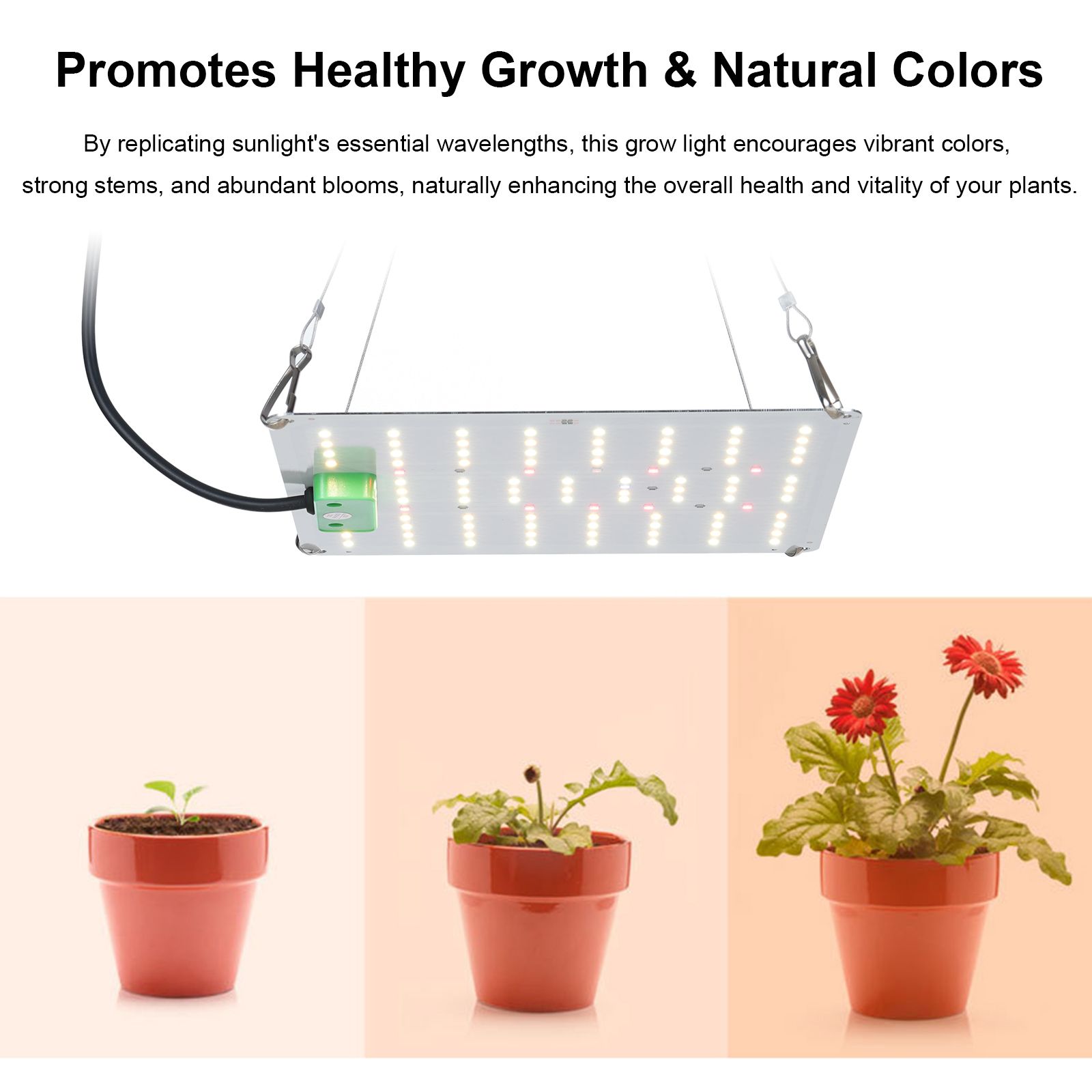 Full Spectrum Growth Light LED Indoor Plant Supplement Light 3000K 5000K IR UV view 6