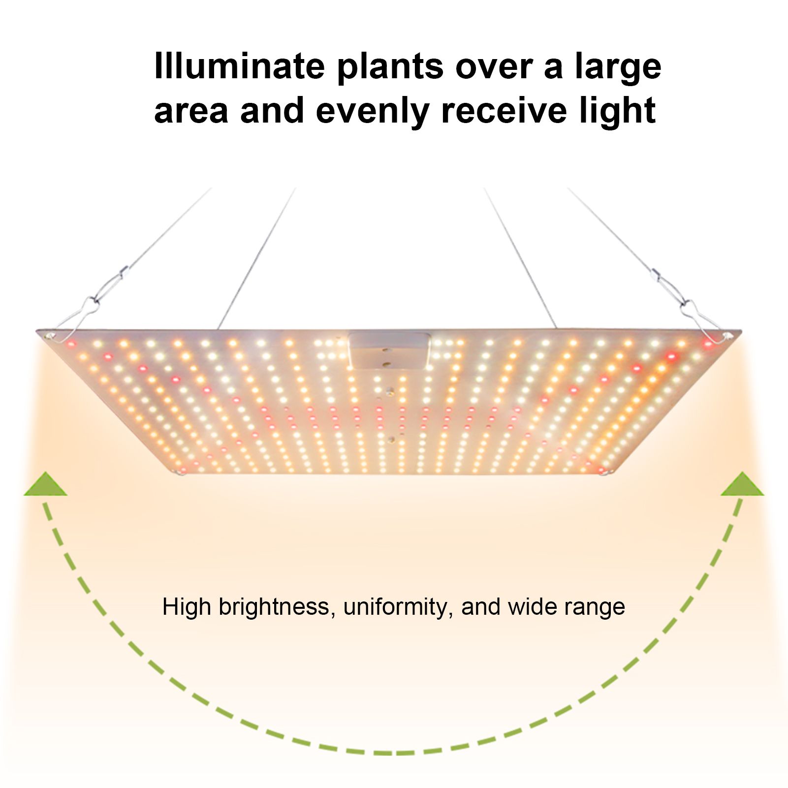 Plant Lamp LED Succulent Fill Light 50W Full Spectrum Plant Grow Light Quantum view 6