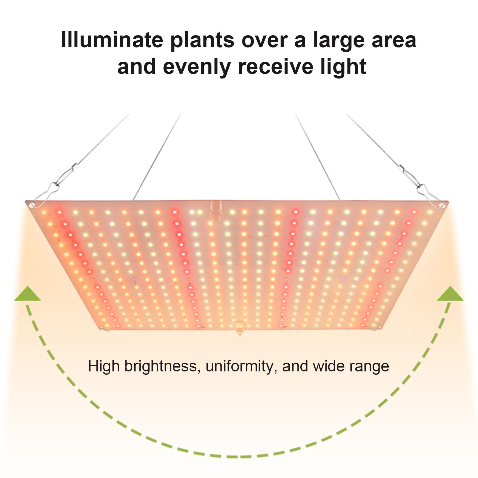 Plant Light LED Succulent Fill Light Full Spectrum Plant Grow Light IP20 Water view 5