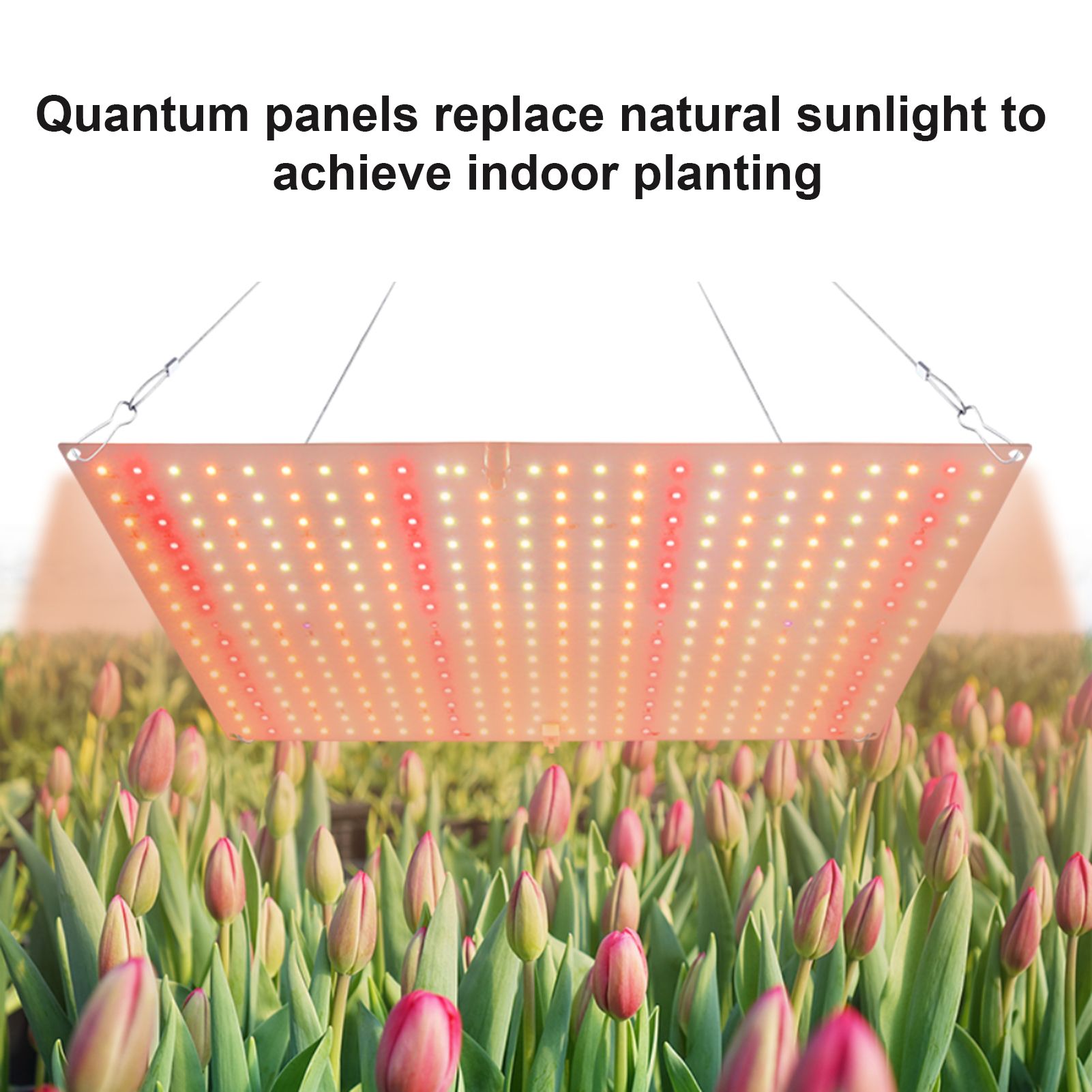 Plant Light LED Succulent Fill Light Full Spectrum Plant Grow Light IP20 Water view 7