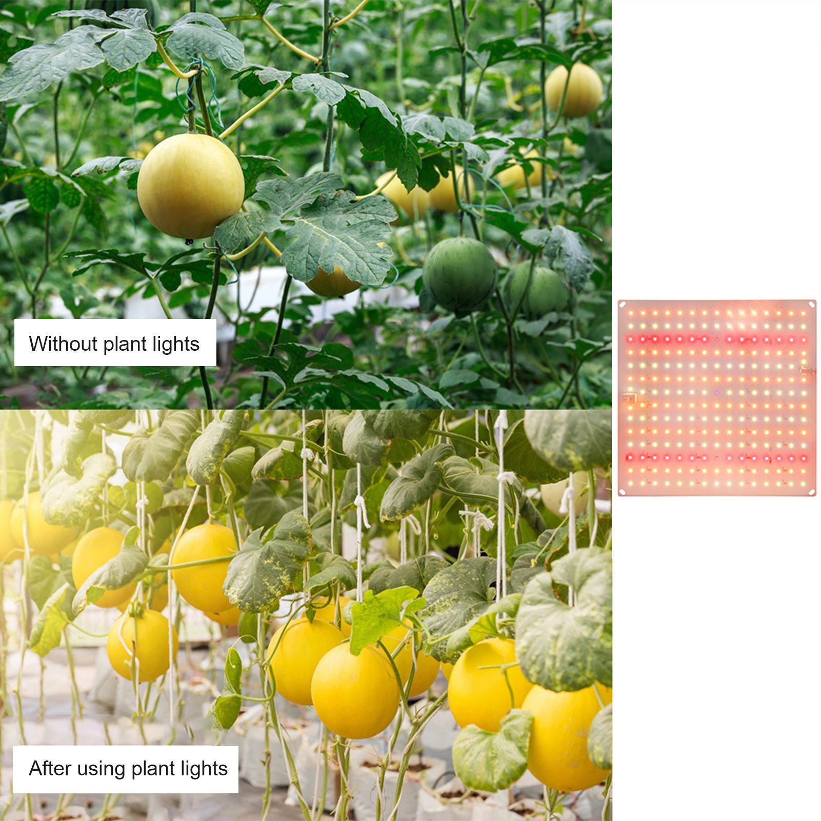 Plant Light LED Succulent Fill Light Full Spectrum Plant Grow Light IP20 Water view 9