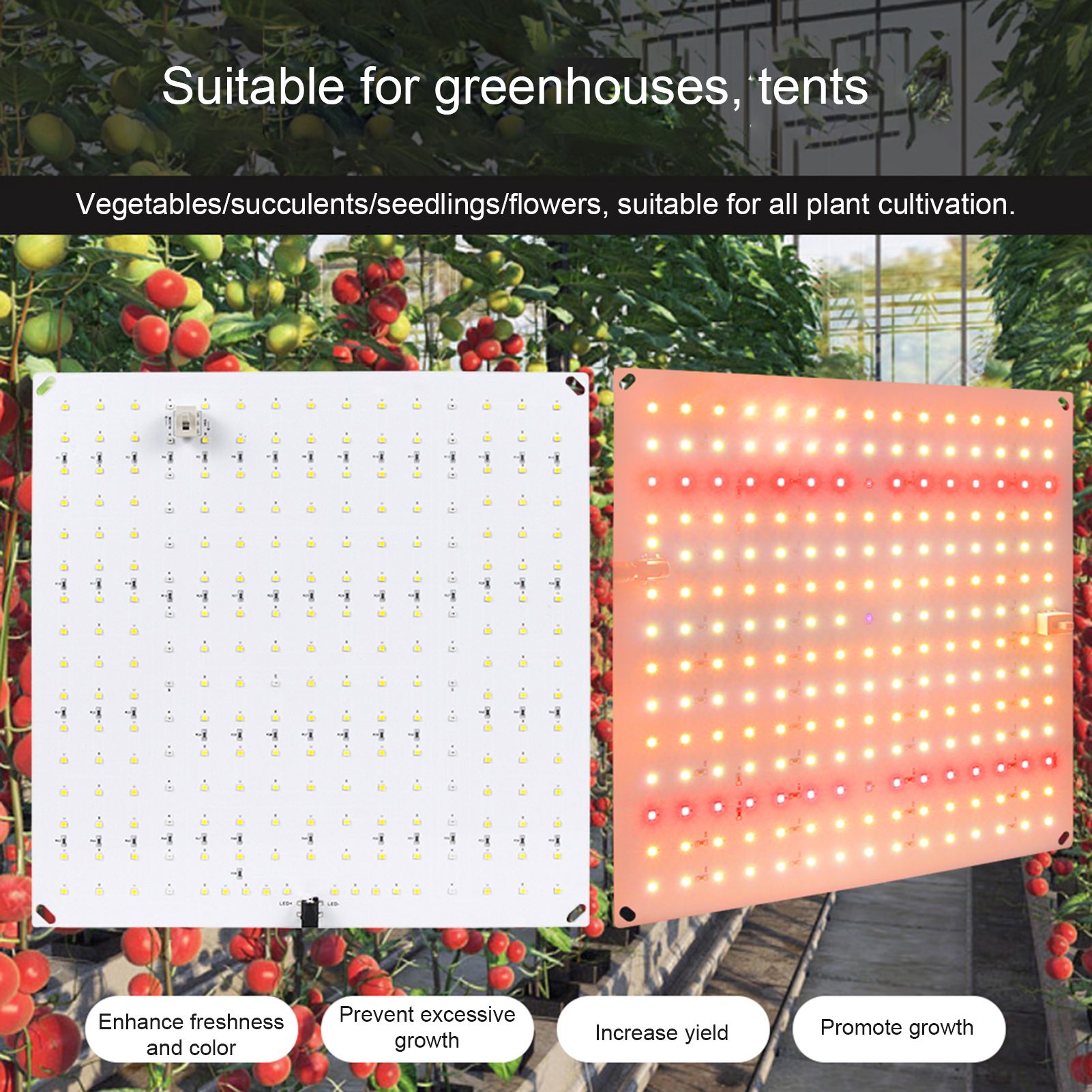 Plant Light LED Succulent Fill Light Full Spectrum Plant Grow Light Quantum view 8