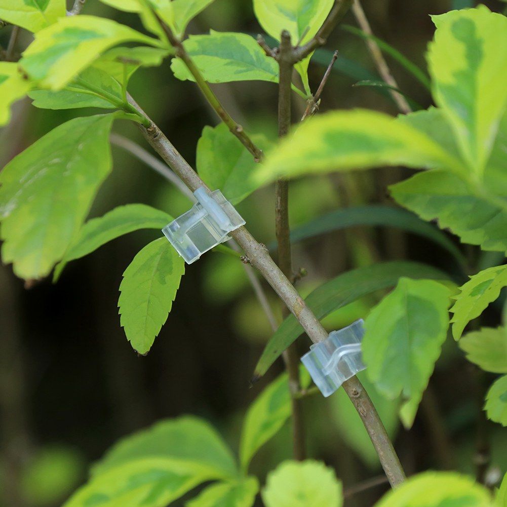 Special grafting clip Tomato seedling grafting clip Eggplant grafting clamp 100pcs view 8