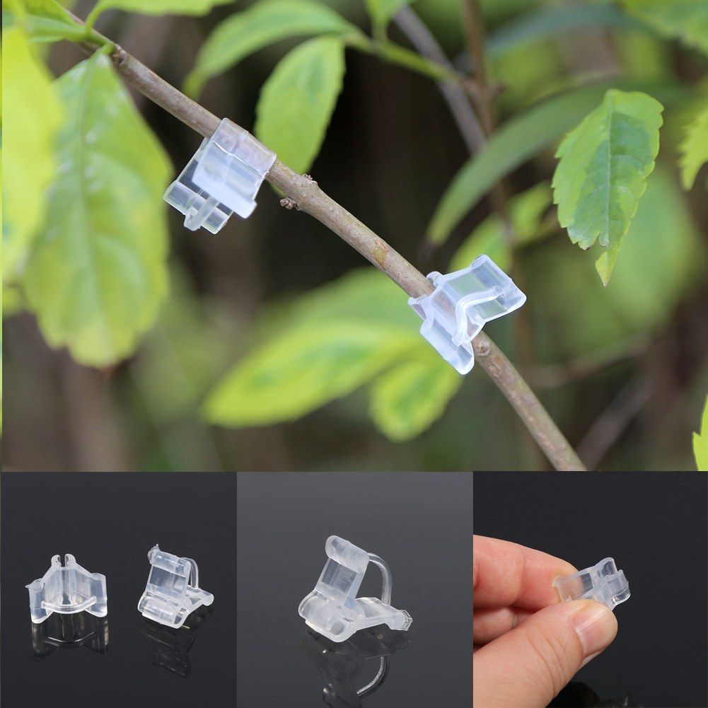 Special grafting clip Tomato seedling grafting clip Eggplant grafting clamp 100pcs view 12