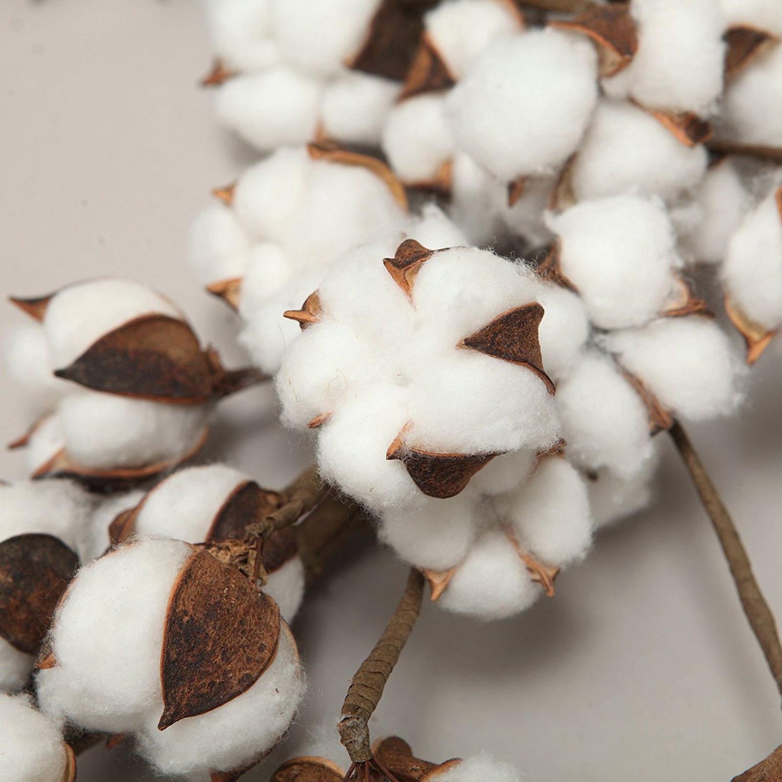 Cotton Head Wreath Decorative Dried Cotton Bolls Wreath for Front Door Wall view 4