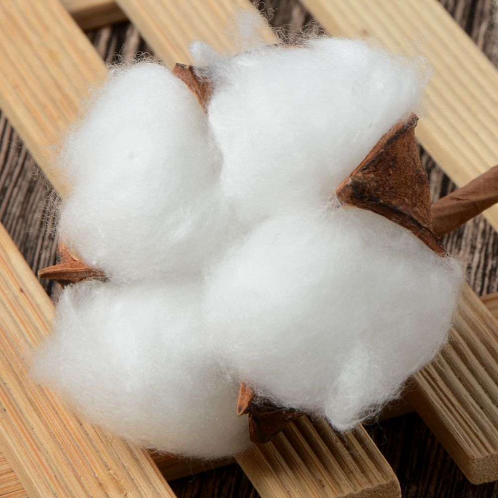 6PCS Artificial Cotton Flower Branches Simulation Dried Cotton Stems for Home view 4