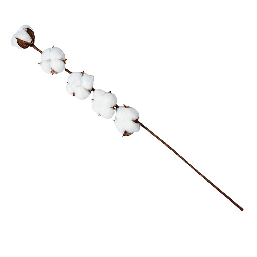 6PCS Artificial Cotton Flower Branches Simulation Dried Cotton Stems for Home view 6