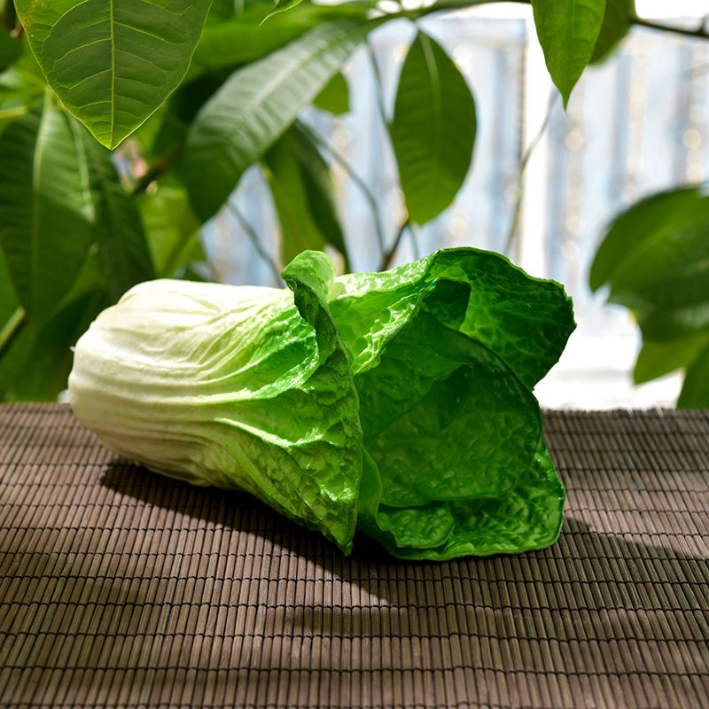 Simulation Vegetable Fake Artificial Vegetables Model Kitchen Home Decor view 4