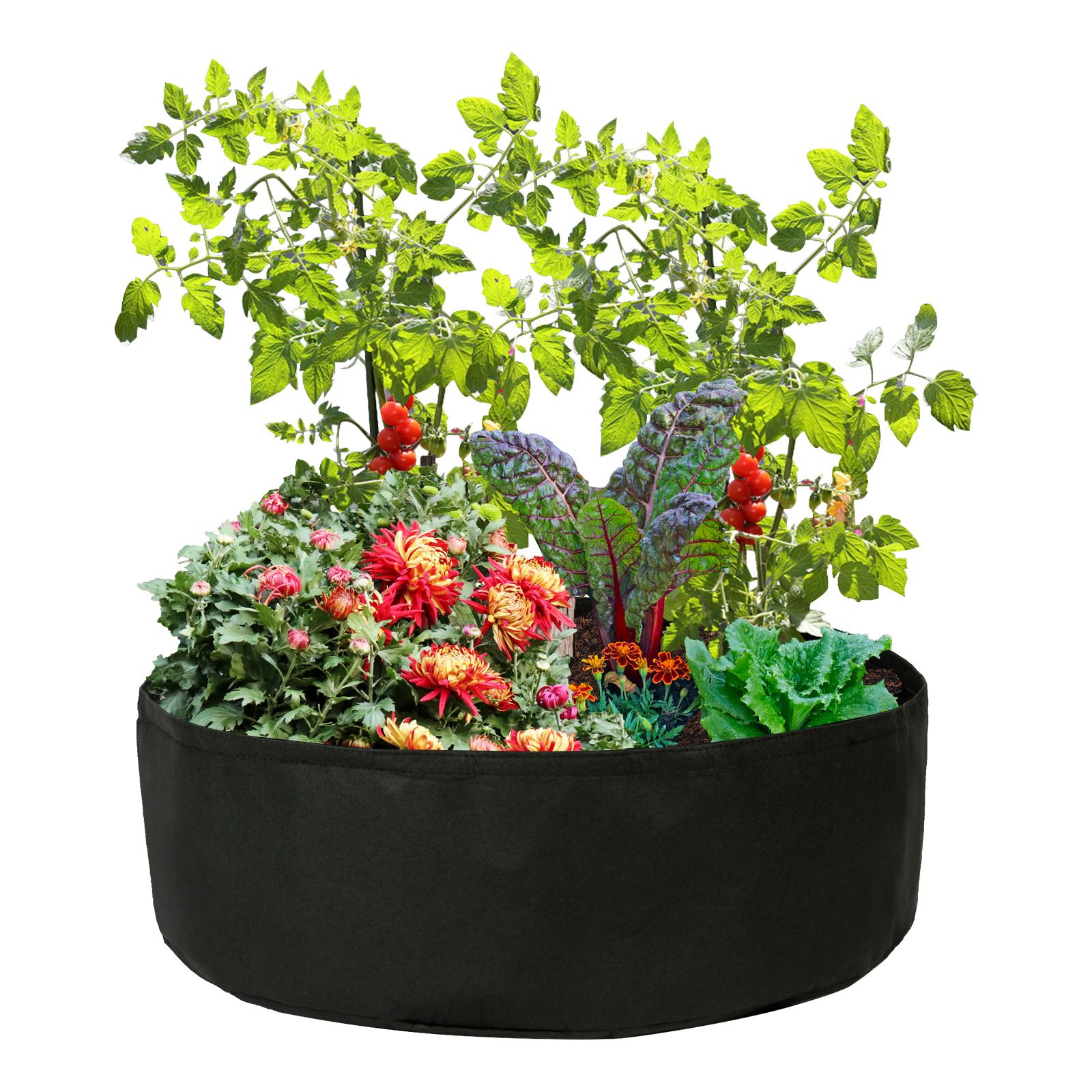 Plant Bag Portable Garden Planting Bag Felt Vegetable Flower Plant Grow Bags view 4