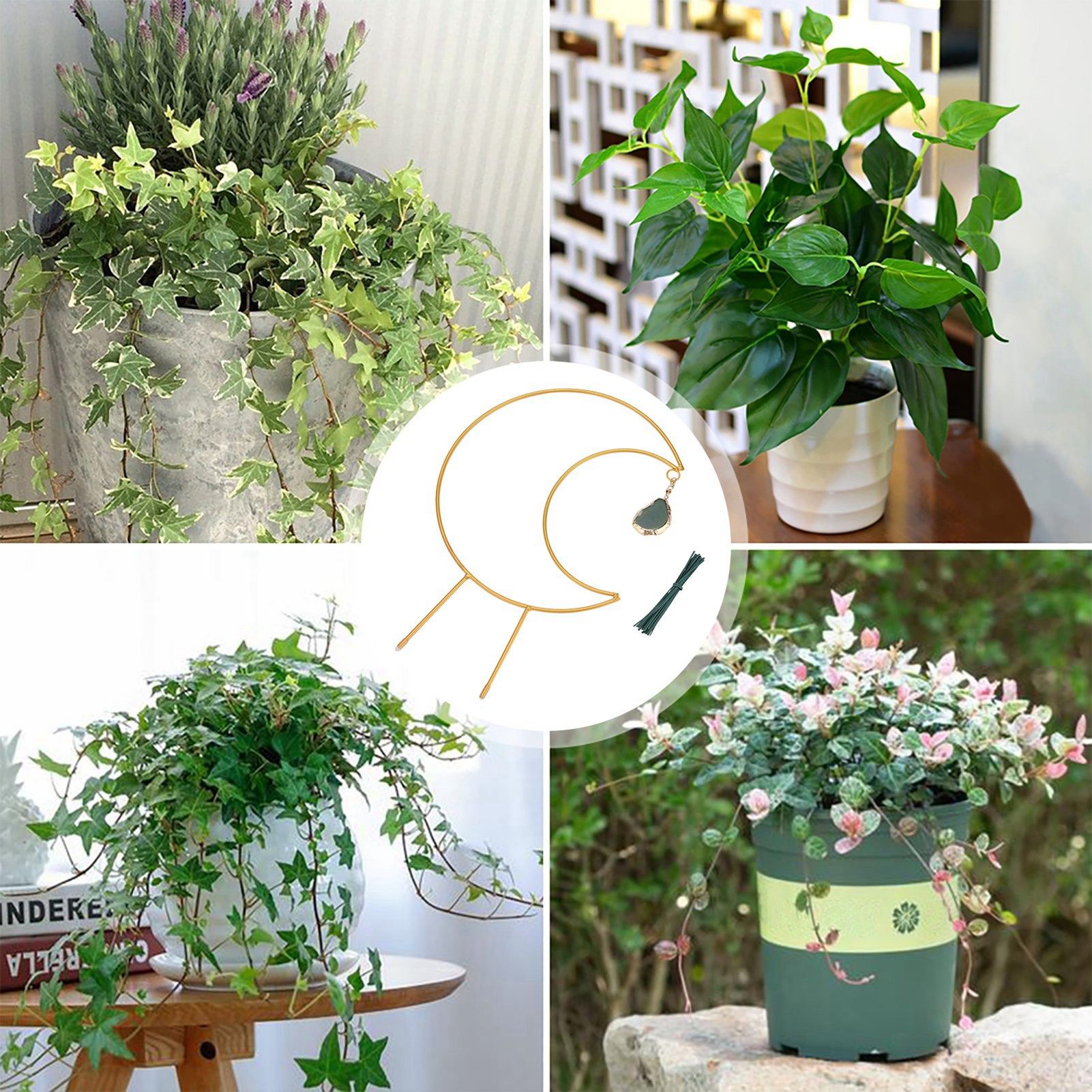 Plant Climbing Frame Climbing Vine Iron Flower Frame Moon Bracket Plant Trellis view 8