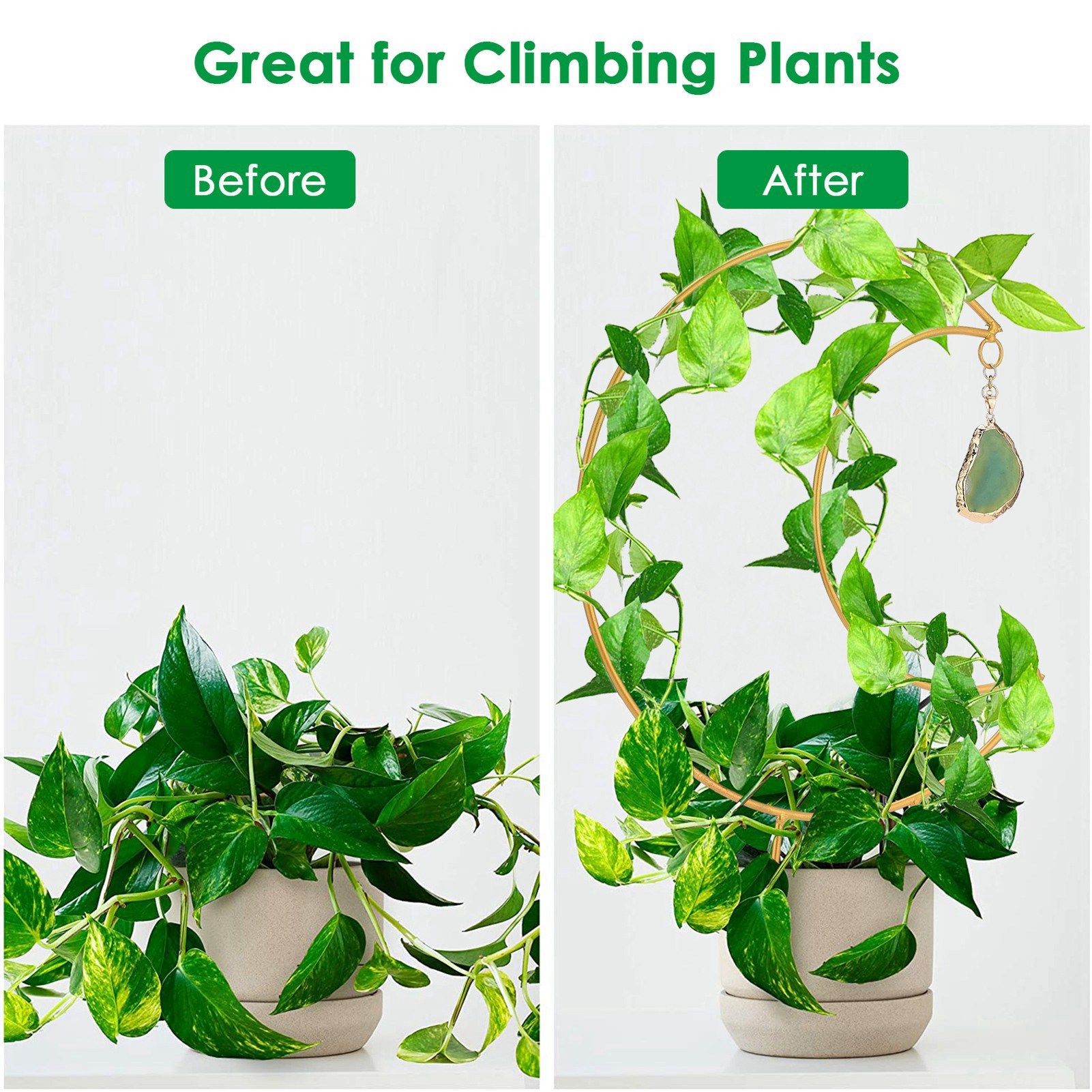 Plant Climbing Frame Climbing Vine Iron Flower Frame Moon Bracket Plant Trellis view 10