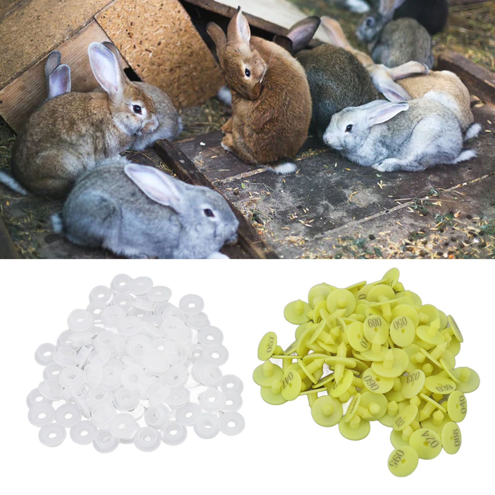 100PCS Livestock Ear Tag Bright Yellow PP Fadeless Reusable Universal Animal view 12