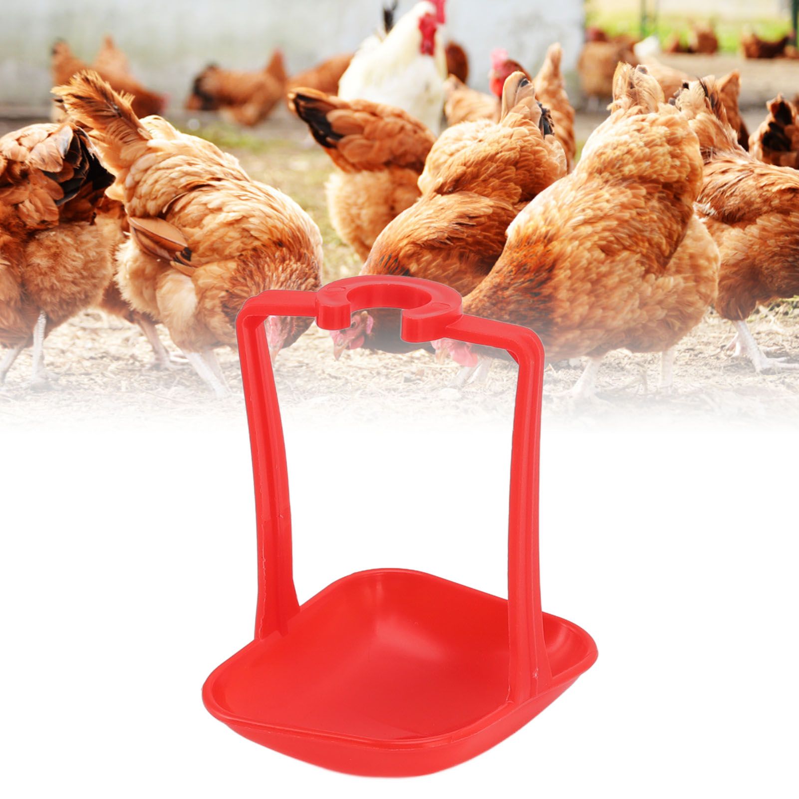 20Pcs Chicken Automatic Waterer Cups Rust Proof Bright Color Chicken Drinking view 12