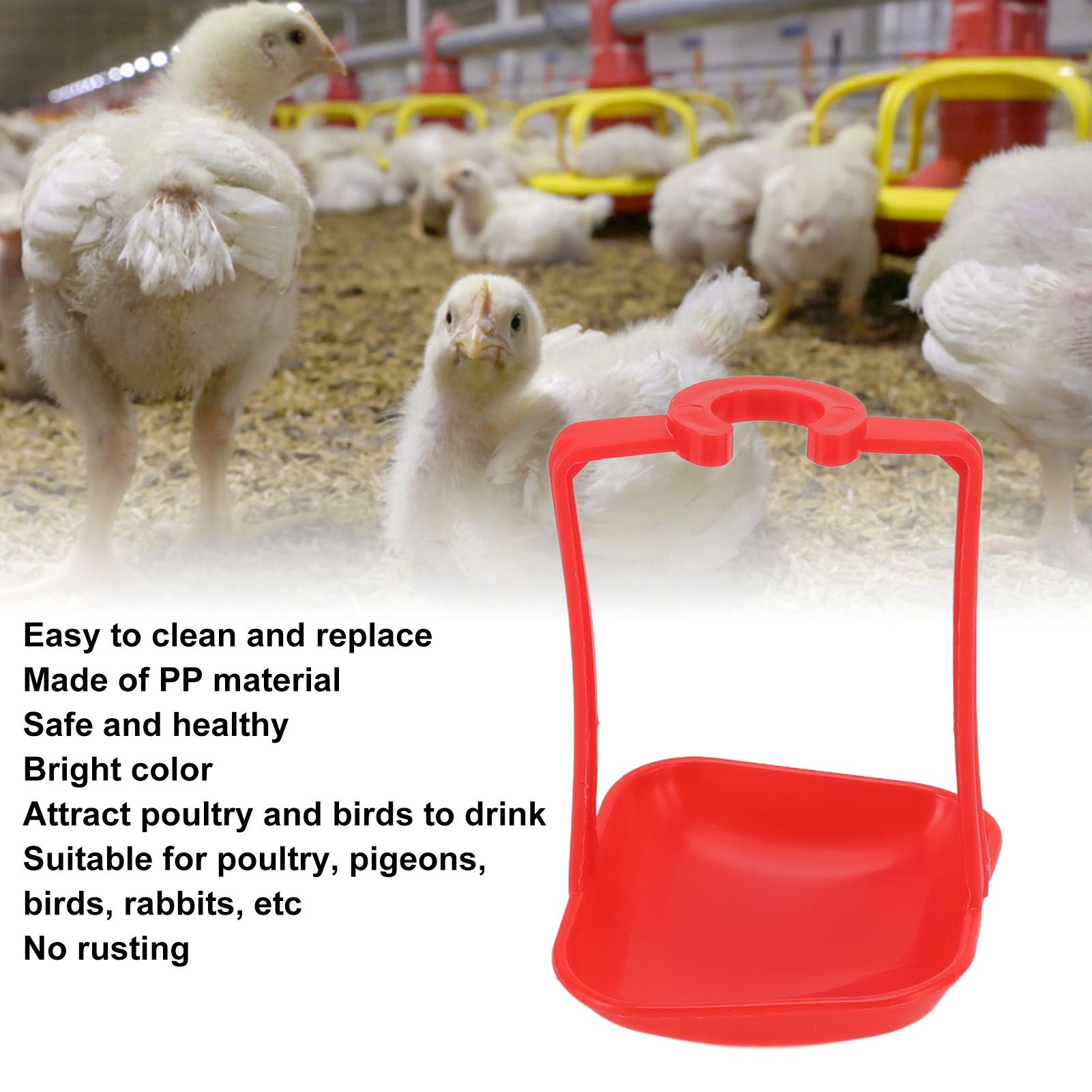 20Pcs Chicken Automatic Waterer Cups Rust Proof Bright Color Chicken Drinking view 15