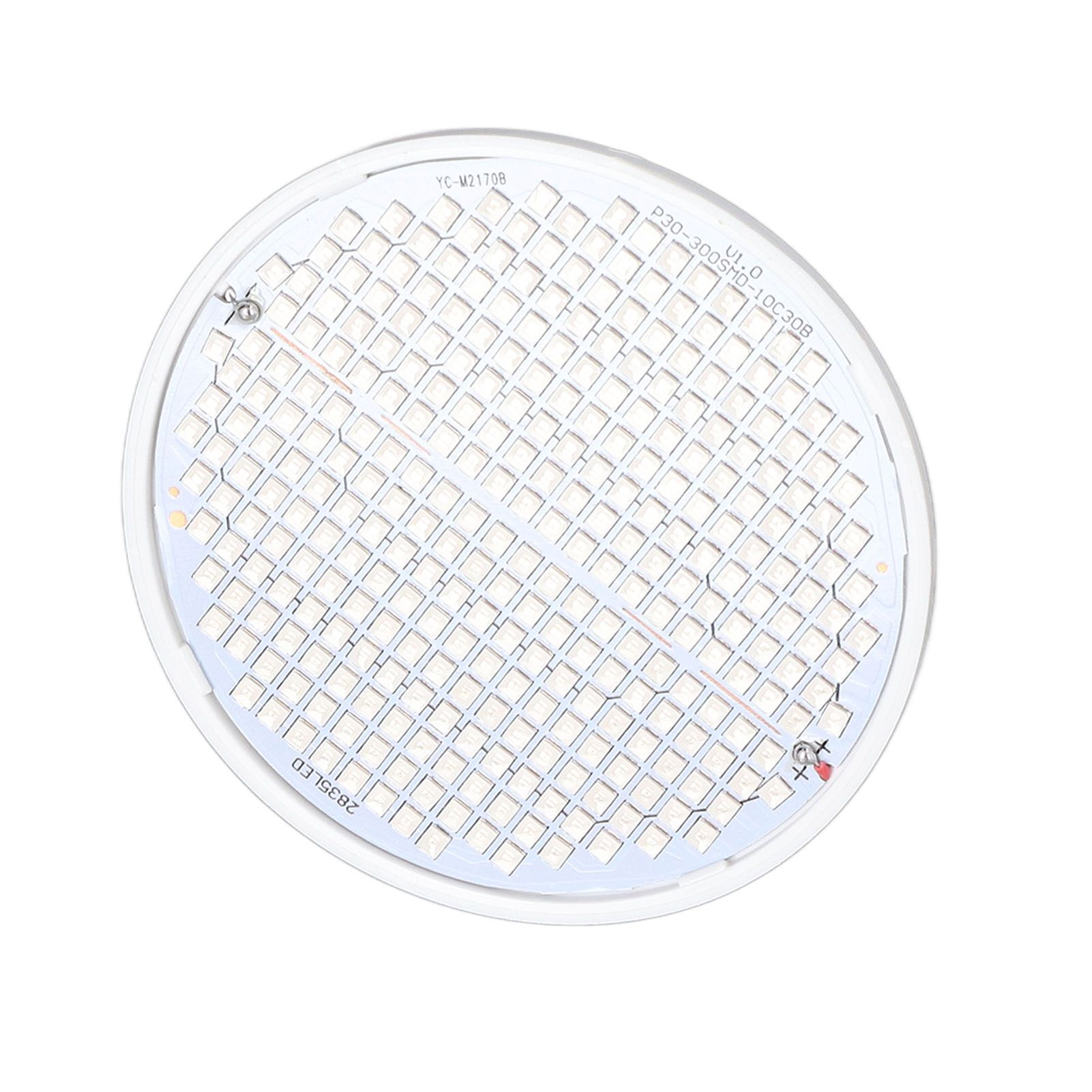 Plant Light E27 Bulb Red Blue Light E27 LED Grow Bulb for Indoor Seedlings view 7