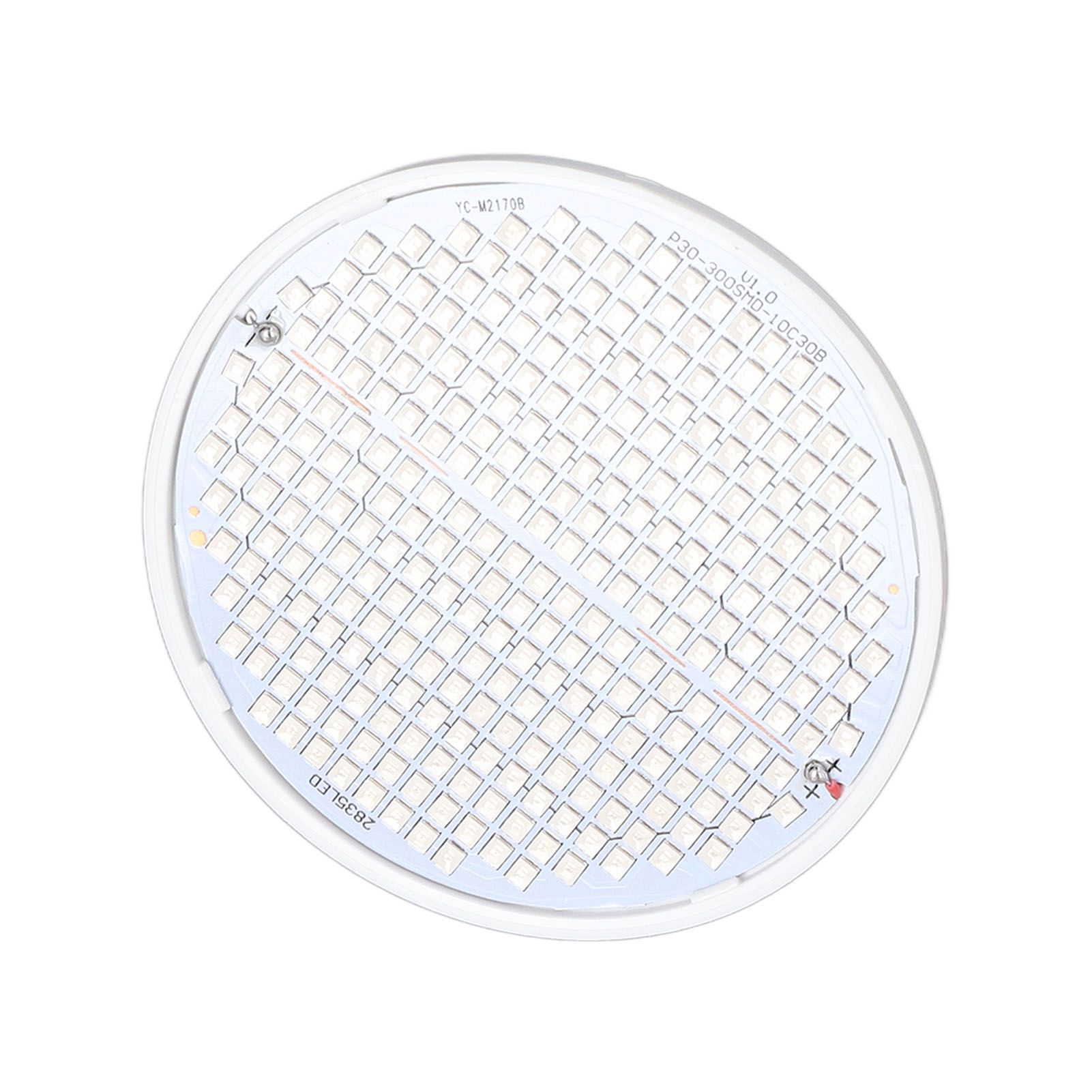 Plant Light E27 Bulb Red Blue Light E27 LED Grow Bulb for Indoor Seedlings view 8