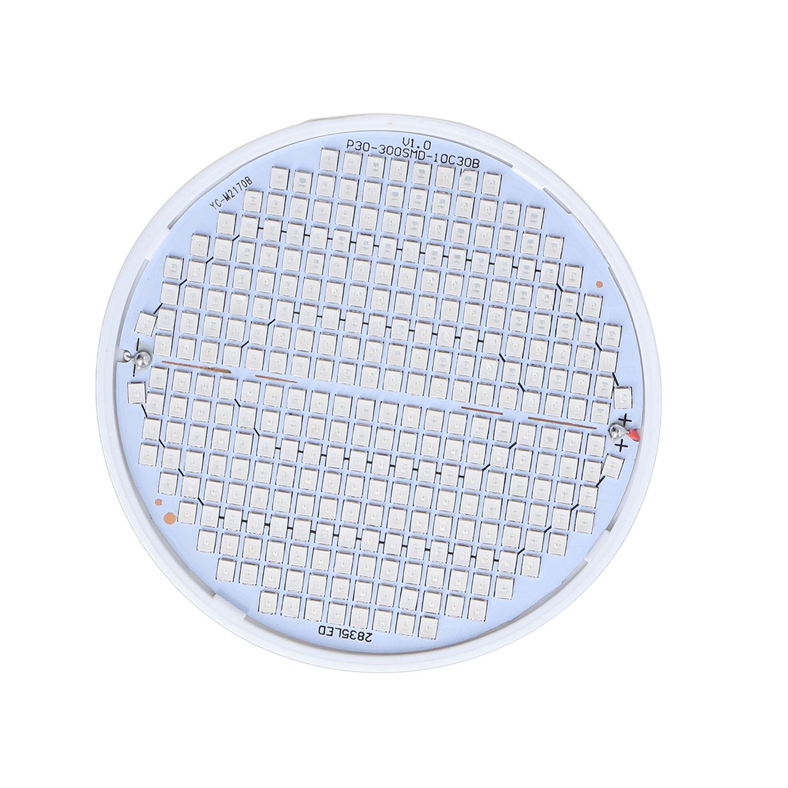 Plant Light E27 Bulb Red Blue Light E27 LED Grow Bulb for Indoor Seedlings view 11