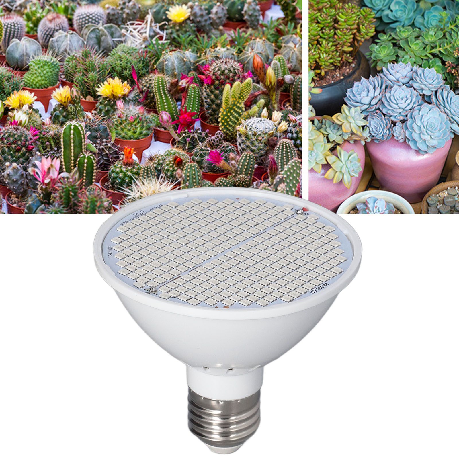 Plant Light E27 Bulb Red Blue Light E27 LED Grow Bulb for Indoor Seedlings view 12