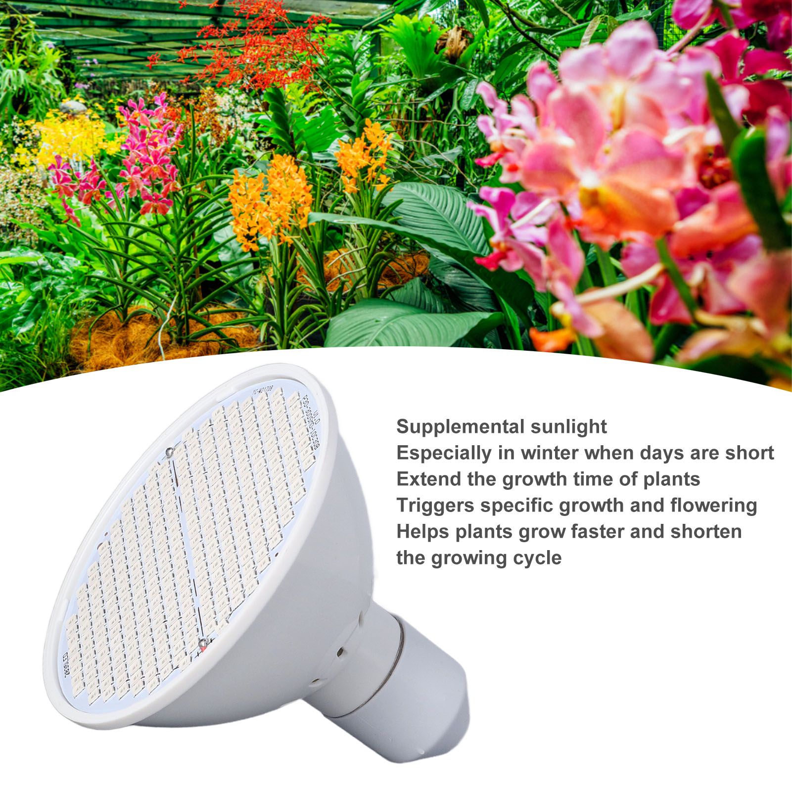 Plant Light E27 Bulb Red Blue Light E27 LED Grow Bulb for Indoor Seedlings view 15