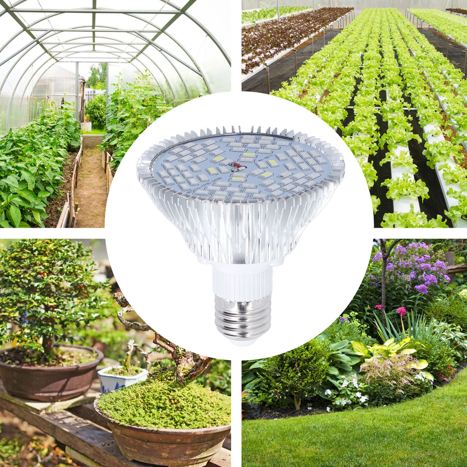 LED Grow Lamp Bulb E27 Low Power Consumption Full Spectrum Low Heat Generation view 12