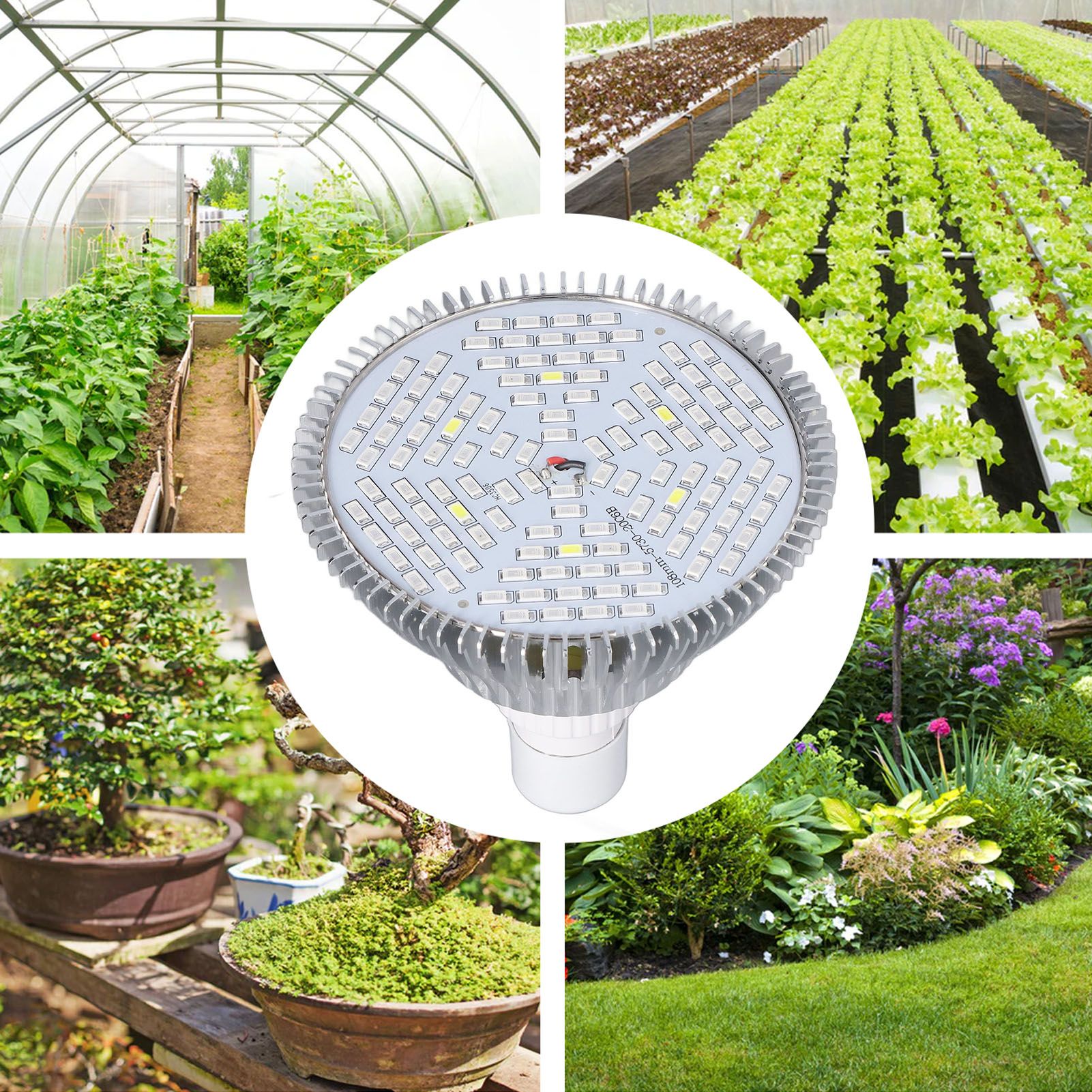 LED Grow Lamp Bulb E27 Low Power Consumption Full Spectrum Low Heat Generation view 12