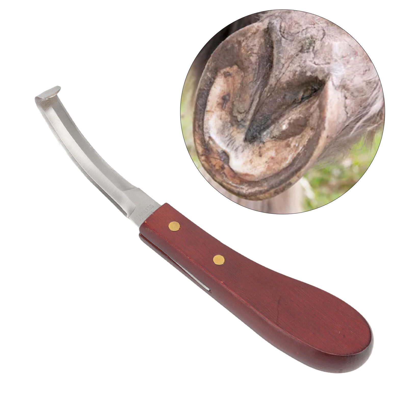 Hoof Knife Razor Stainless Steel Double Sided Blade Ergonomic Wooden Handle view 11