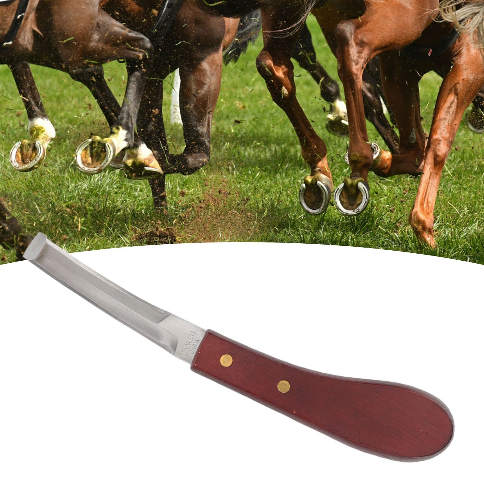 Hoof Knife Razor Stainless Steel Double Sided Blade Ergonomic Wooden Handle view 12