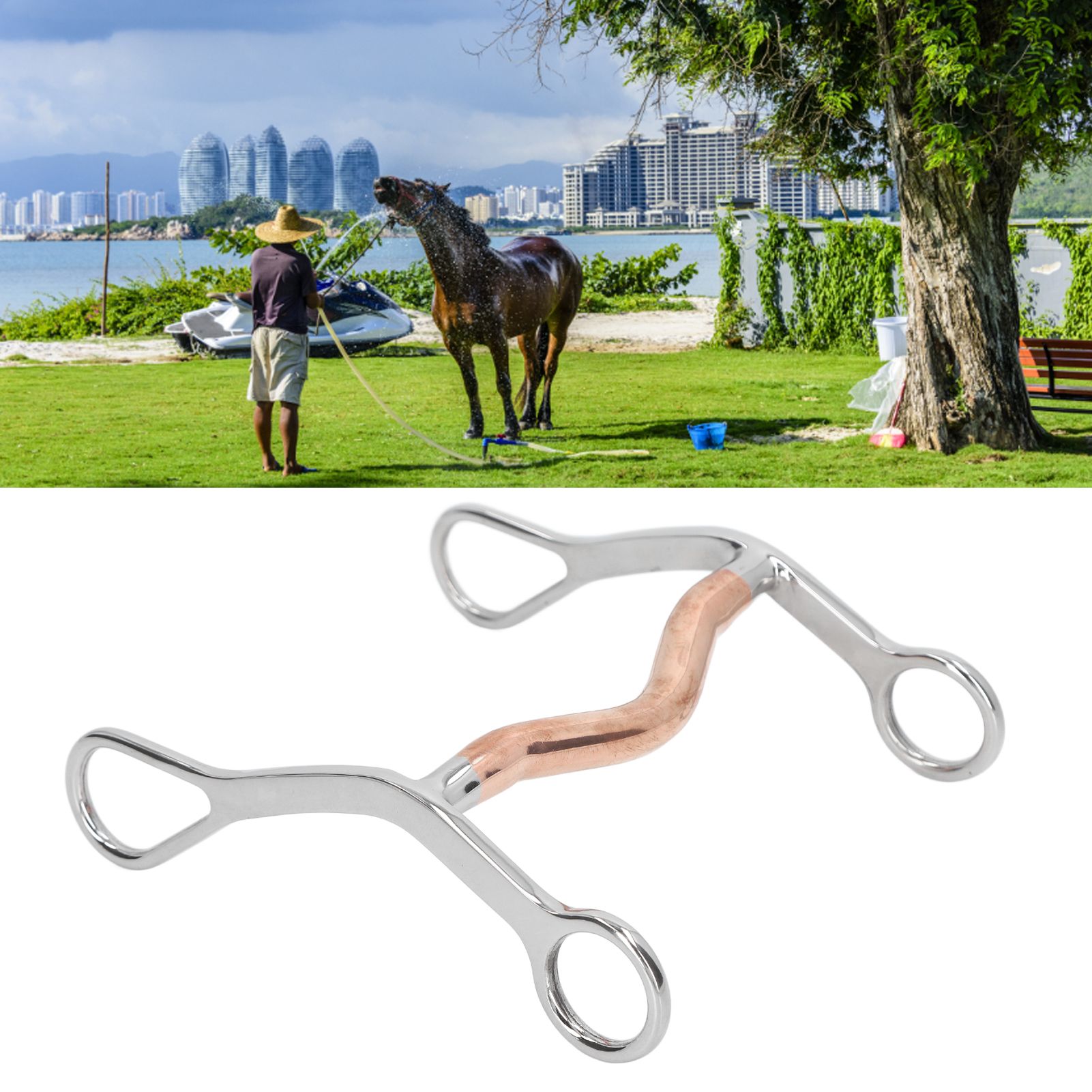 Horse Mouth Bit Stainless Steel Horse Breaking Bit Wear Resistant Corrosion view 10