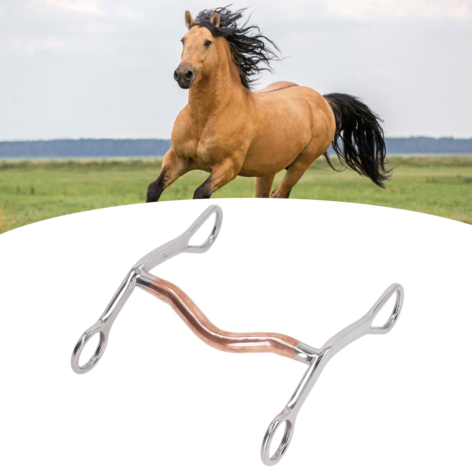 Horse Mouth Bit Stainless Steel Horse Breaking Bit Wear Resistant Corrosion view 11