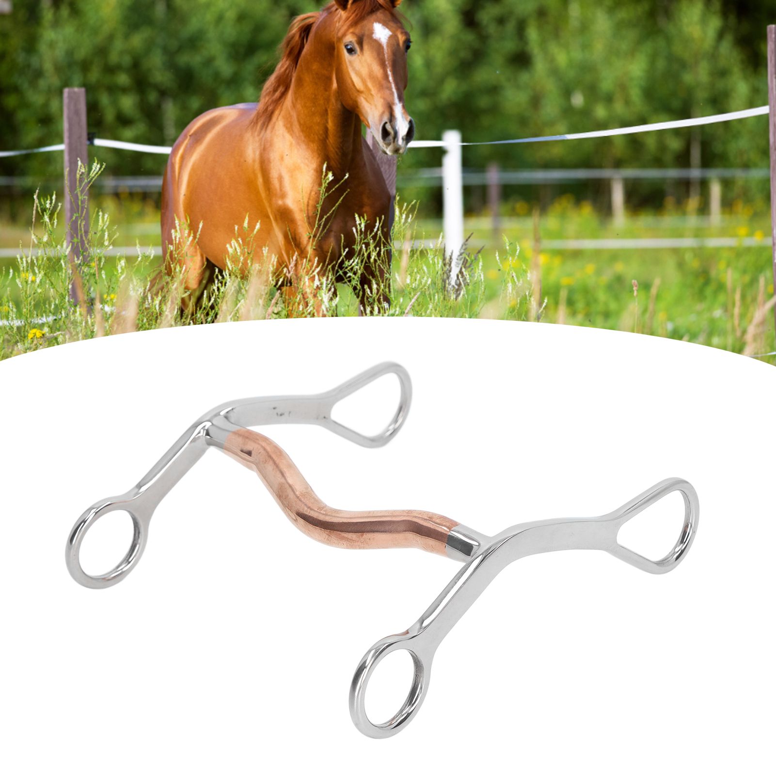 Horse Mouth Bit Stainless Steel Horse Breaking Bit Wear Resistant Corrosion view 12