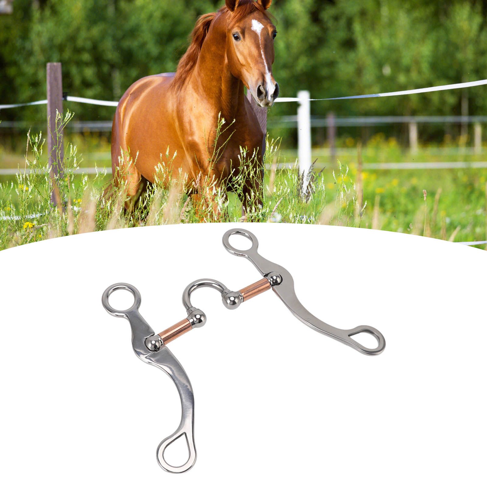 Horse Snaffle Bit Stainless Steel Rose Gold Plated Horse Gag Loose Ring view 11